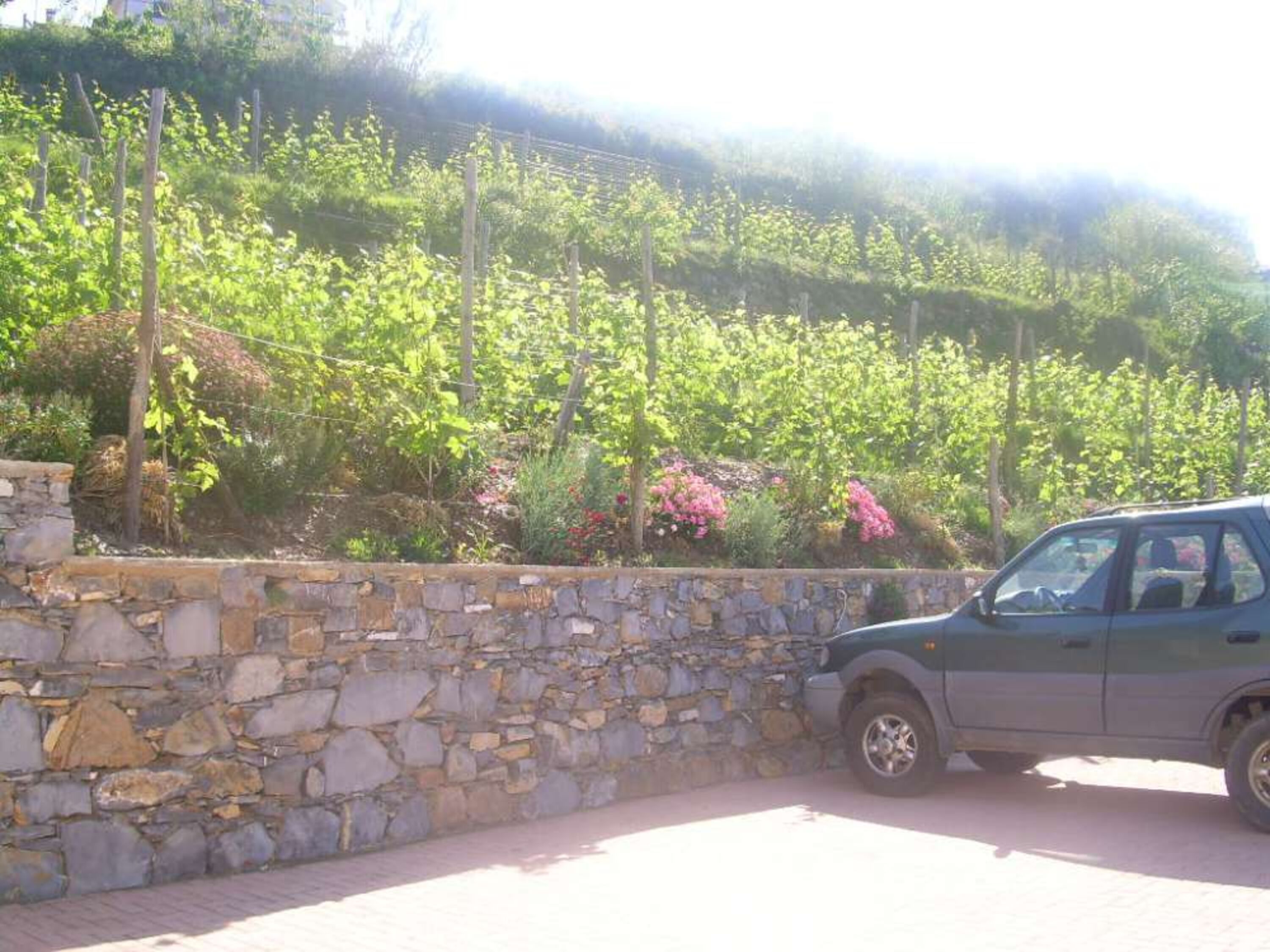 Privater Parkplatz am Haus
