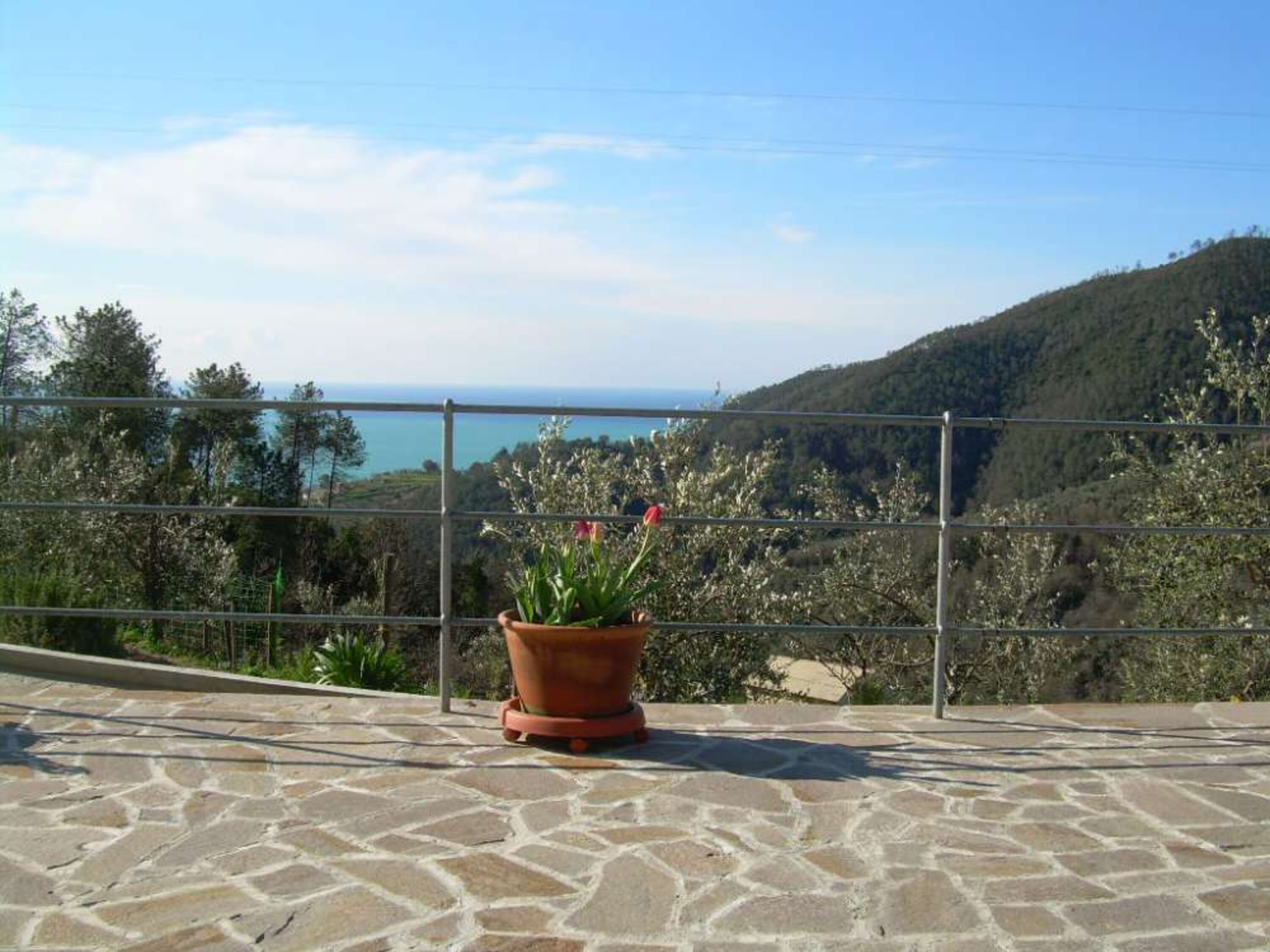 Ausblick von der Terrasse