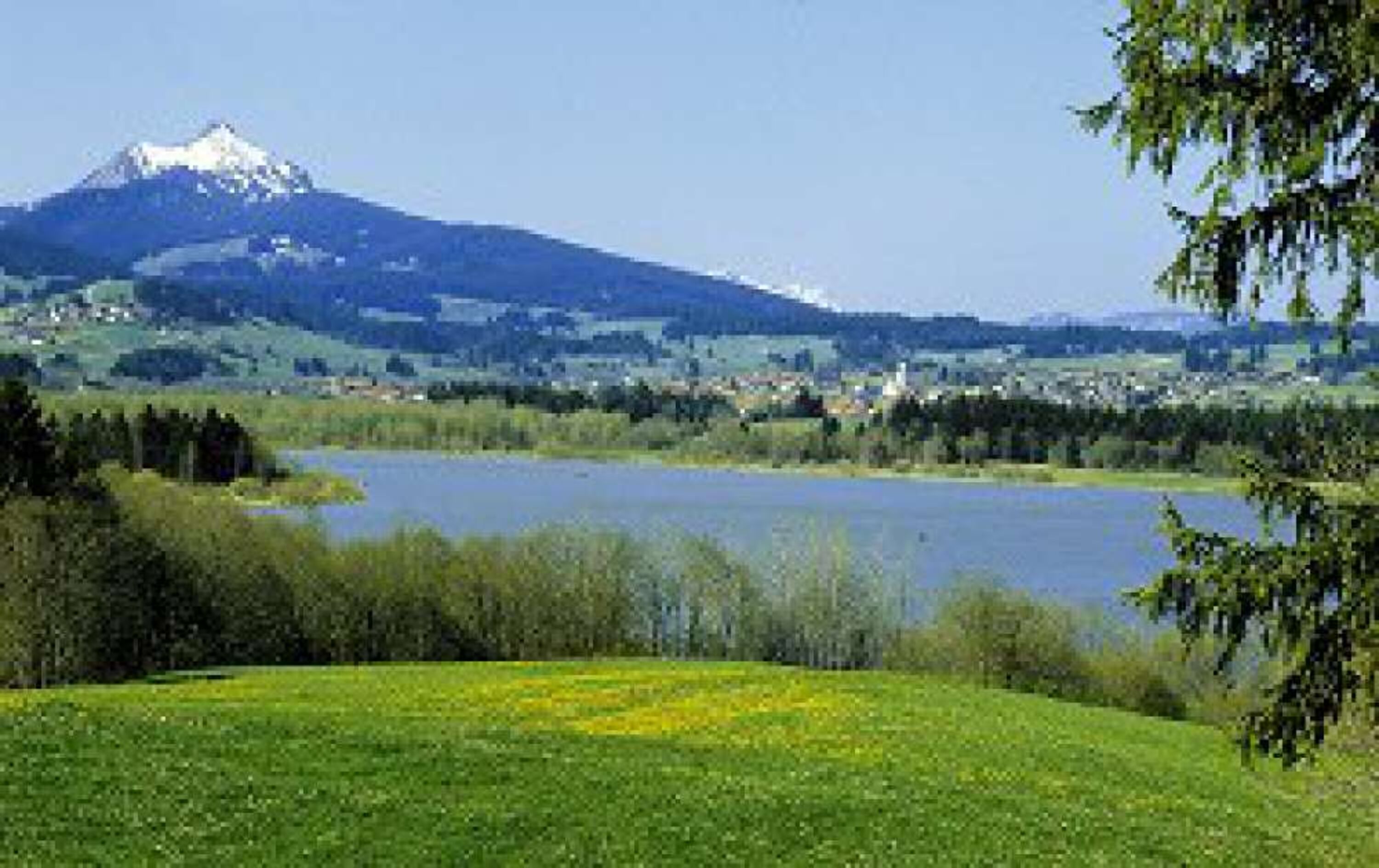 Grüntensee