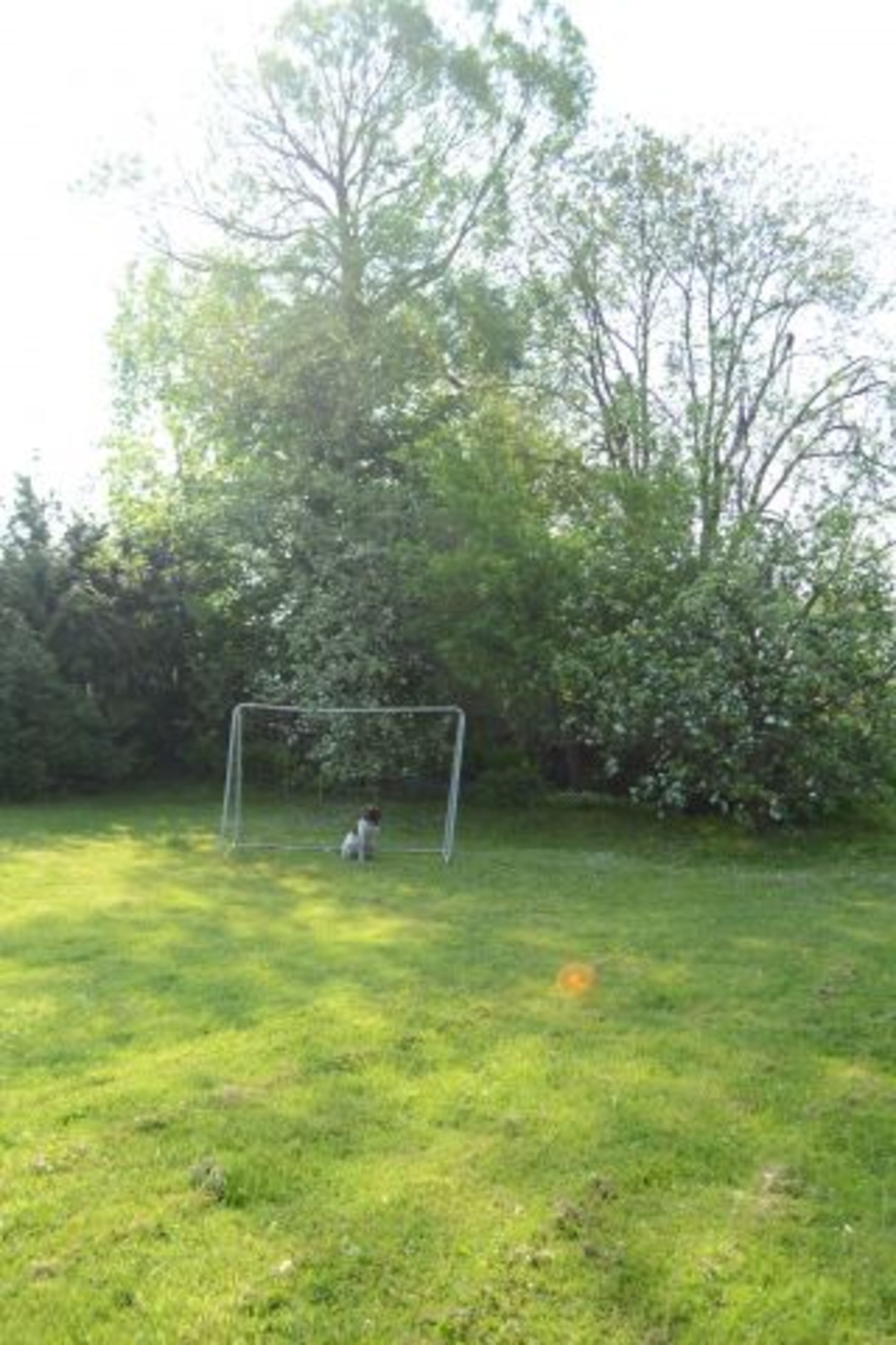 Bild 18