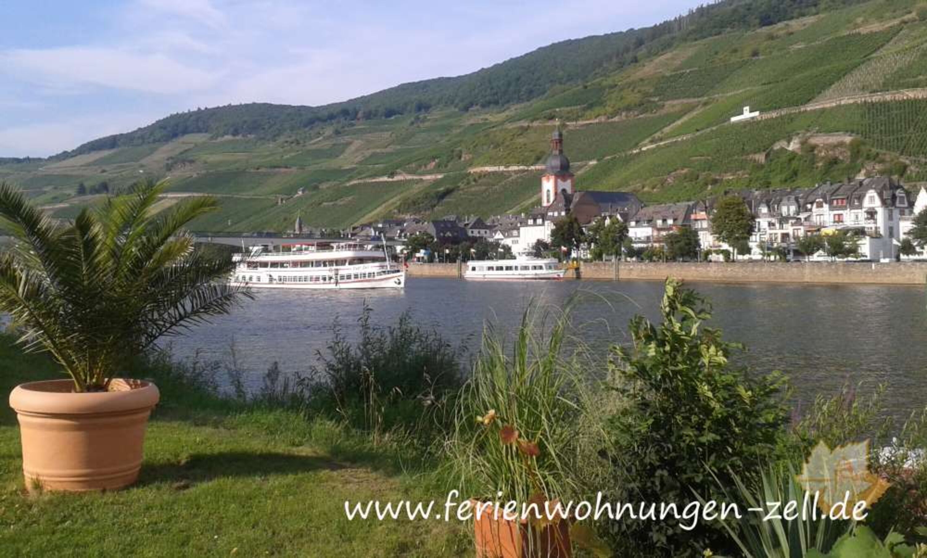 Blick auf die Altstadt Zell