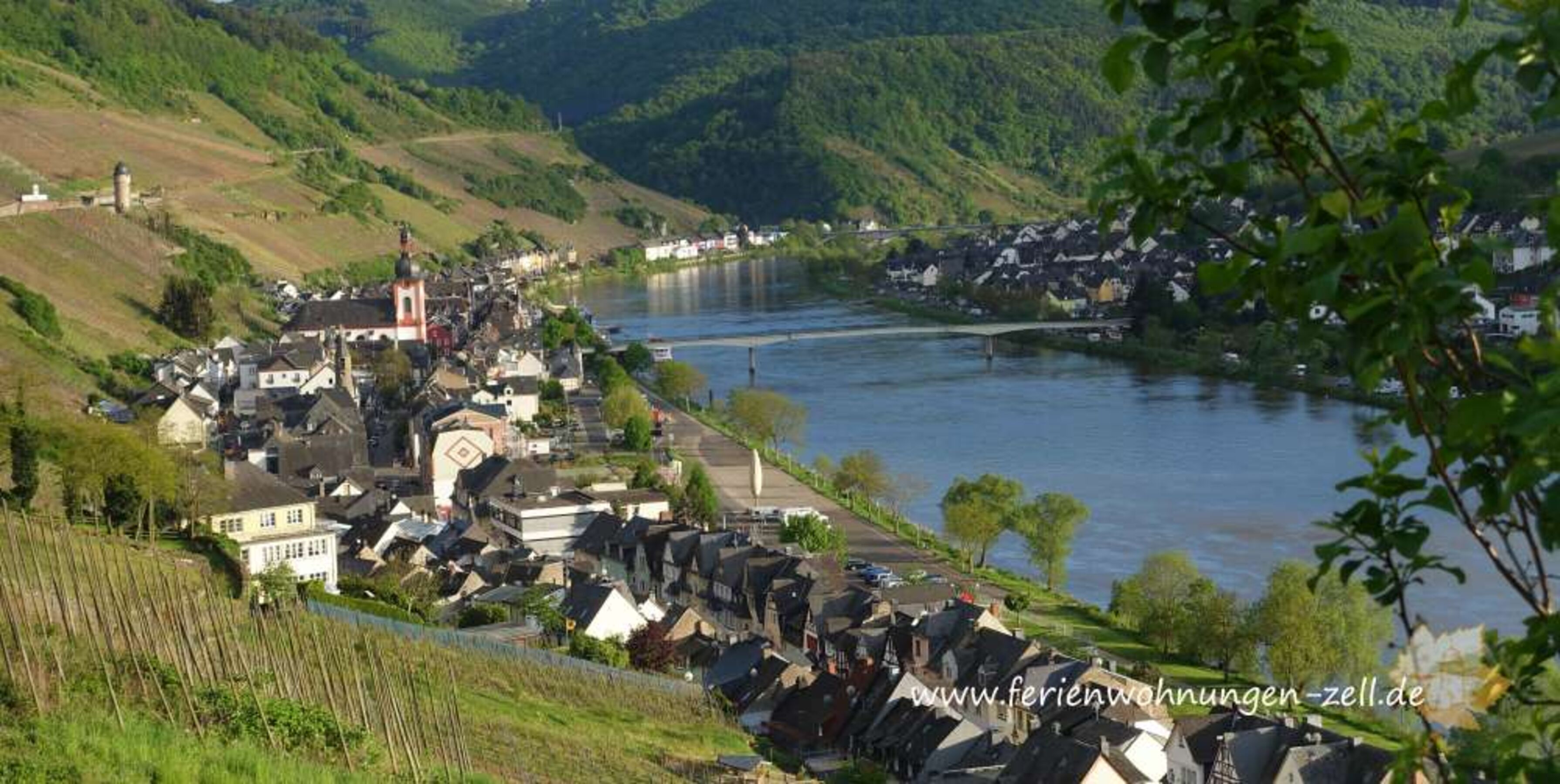 Wanderung um Zell Mosel
