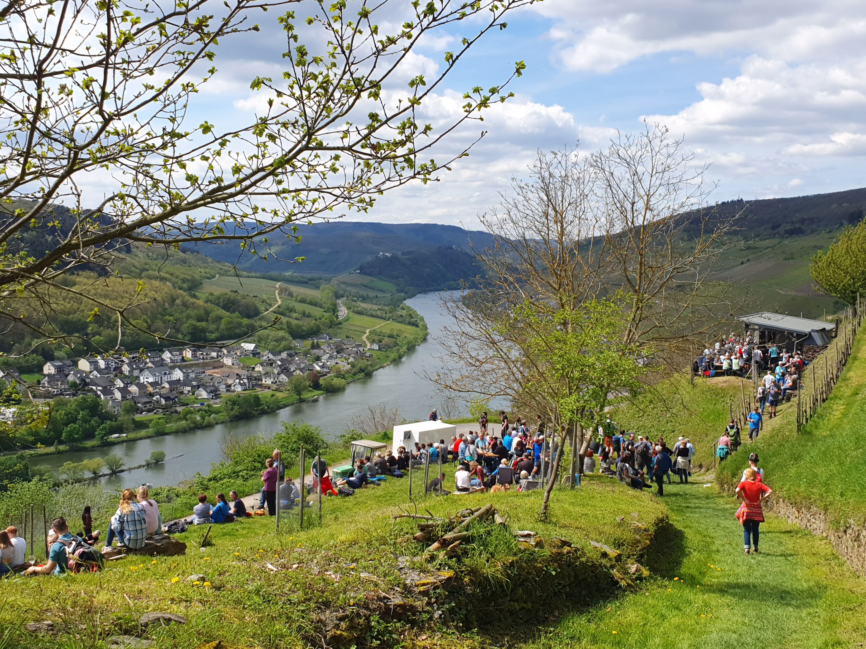 Event in den Weinbergen von Zell