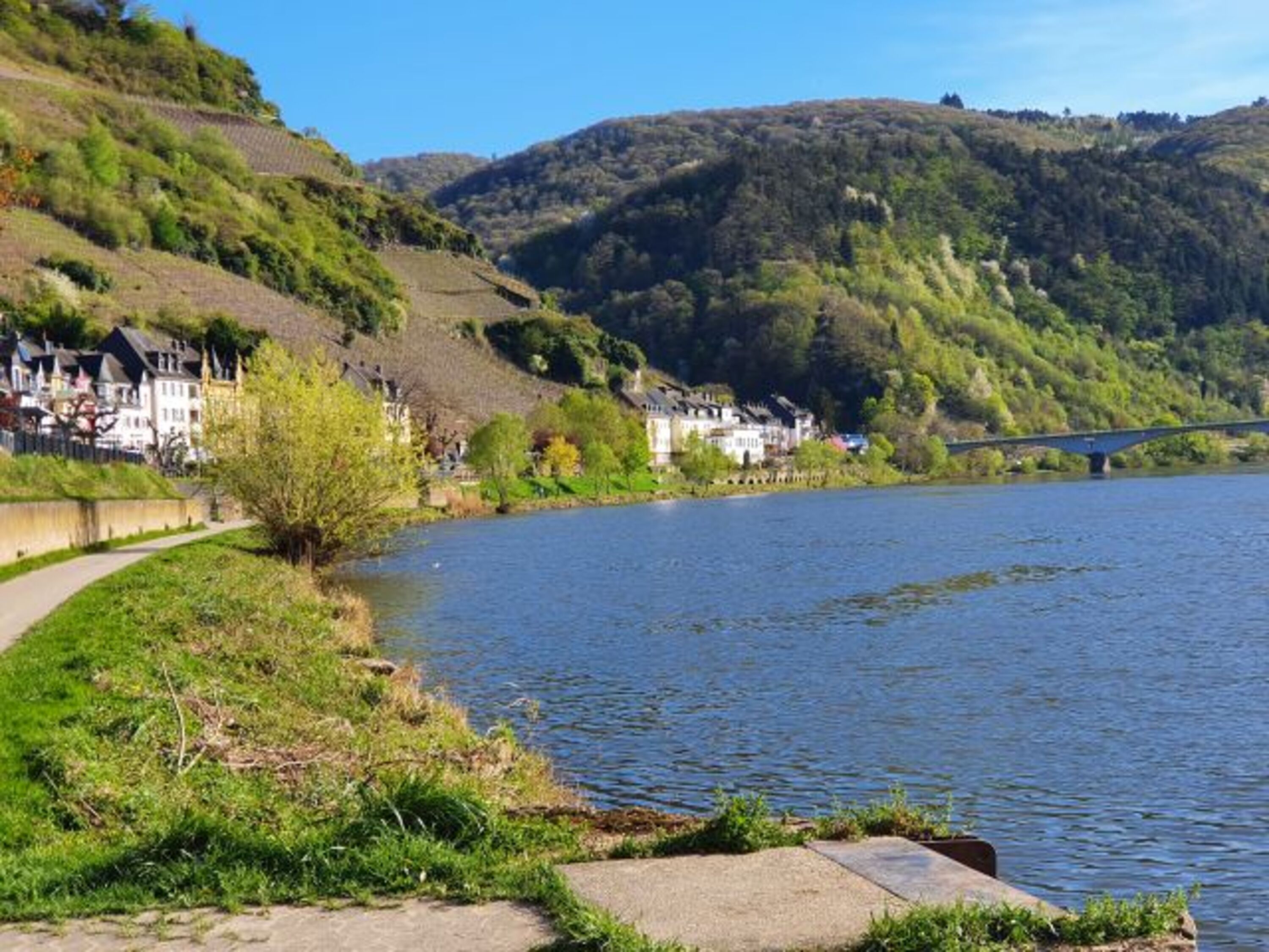 Moselrad- und Wanderweg in Zell