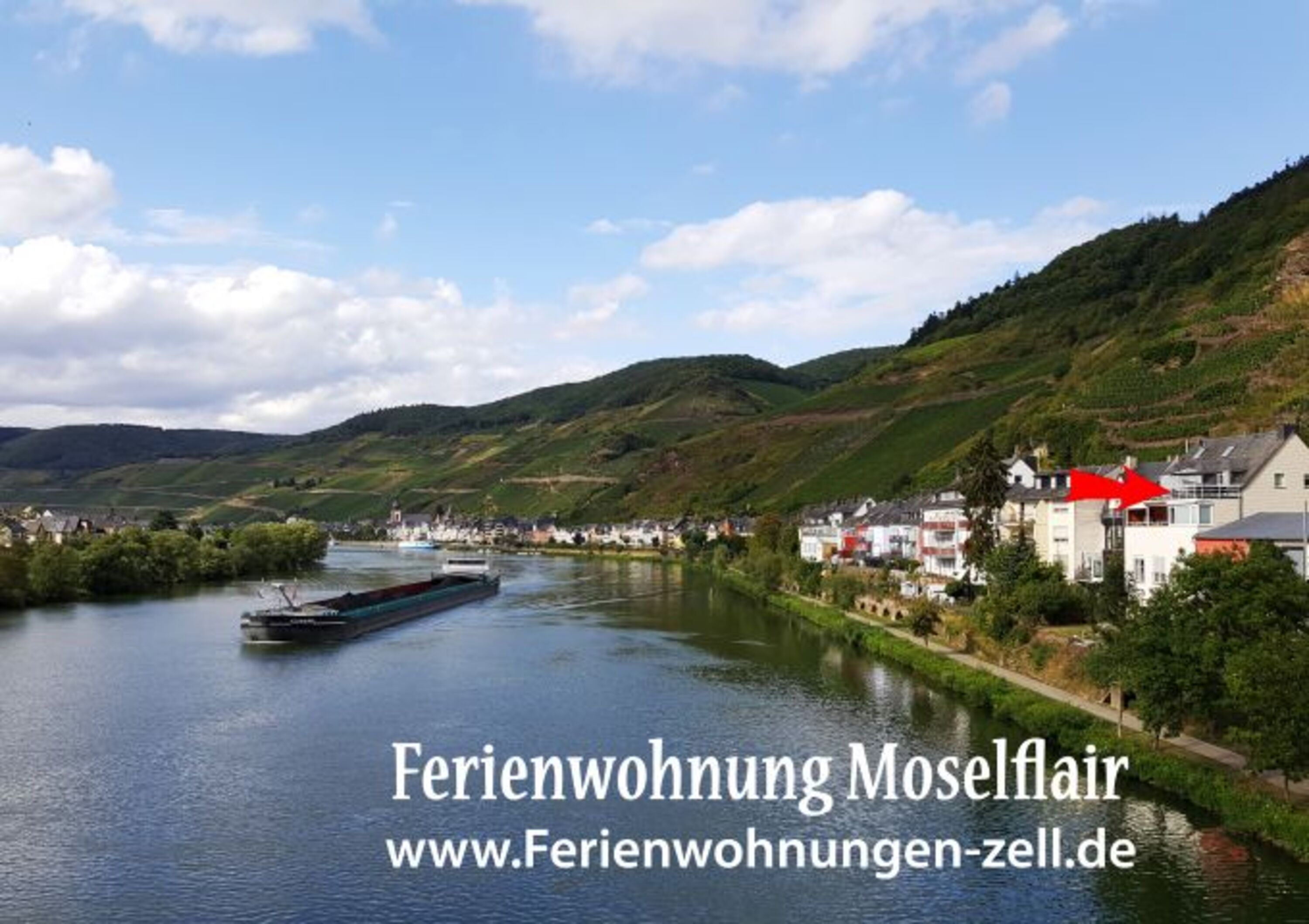 Wundervolle Lage ganz nah an der Mosel und dem Radweg
