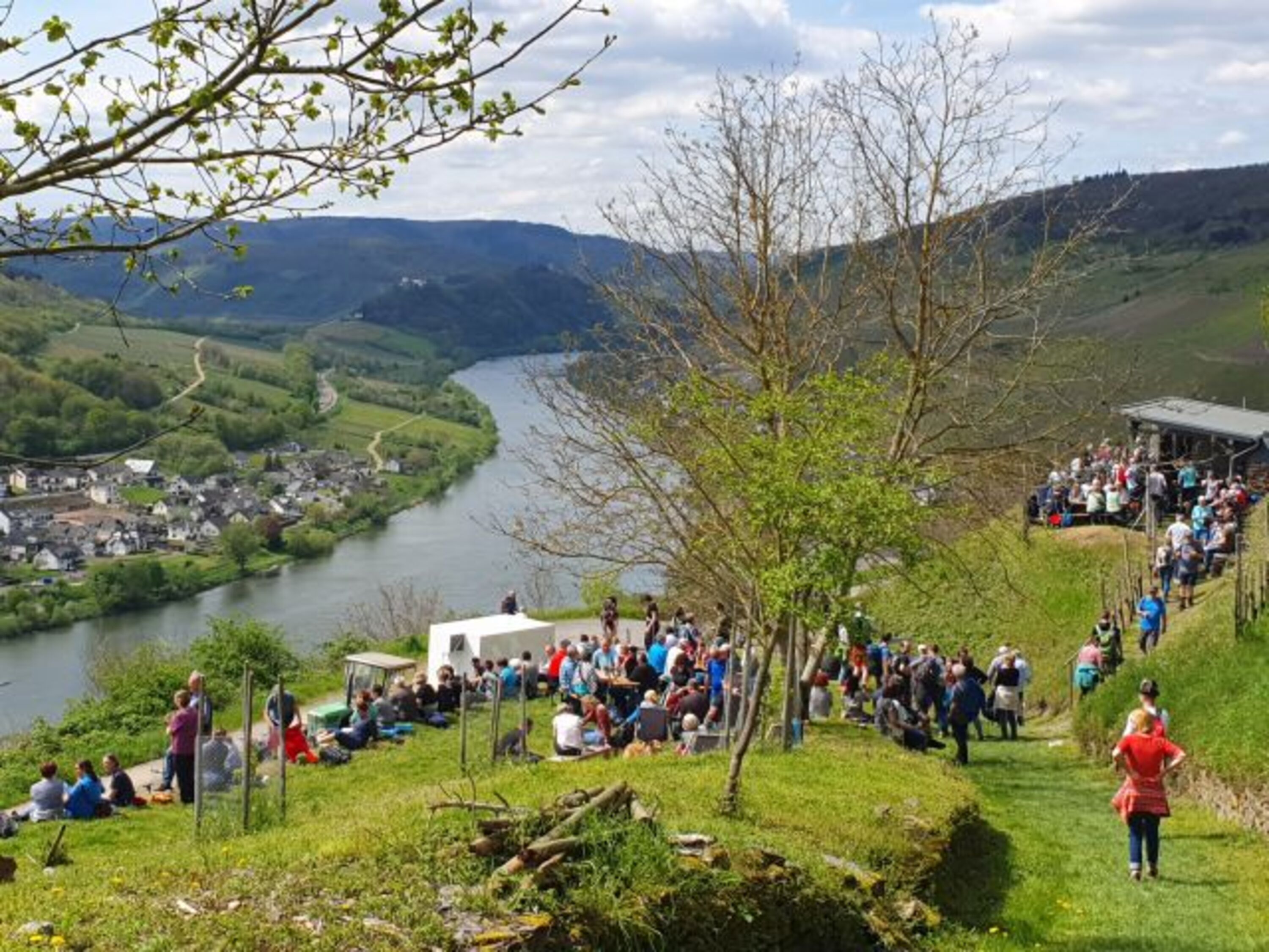 Event in den Weinbergen von Zell