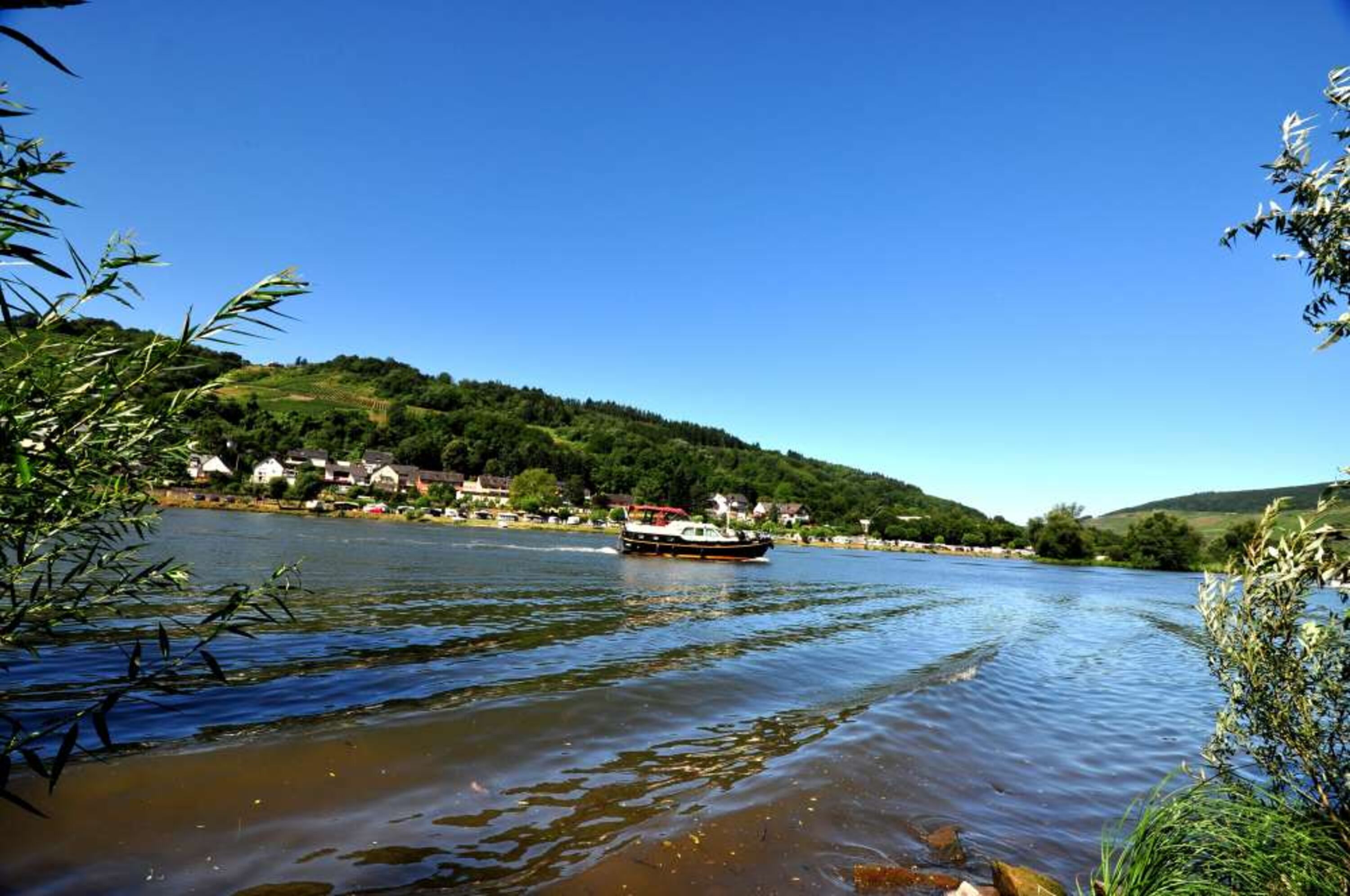 Zell Mosel