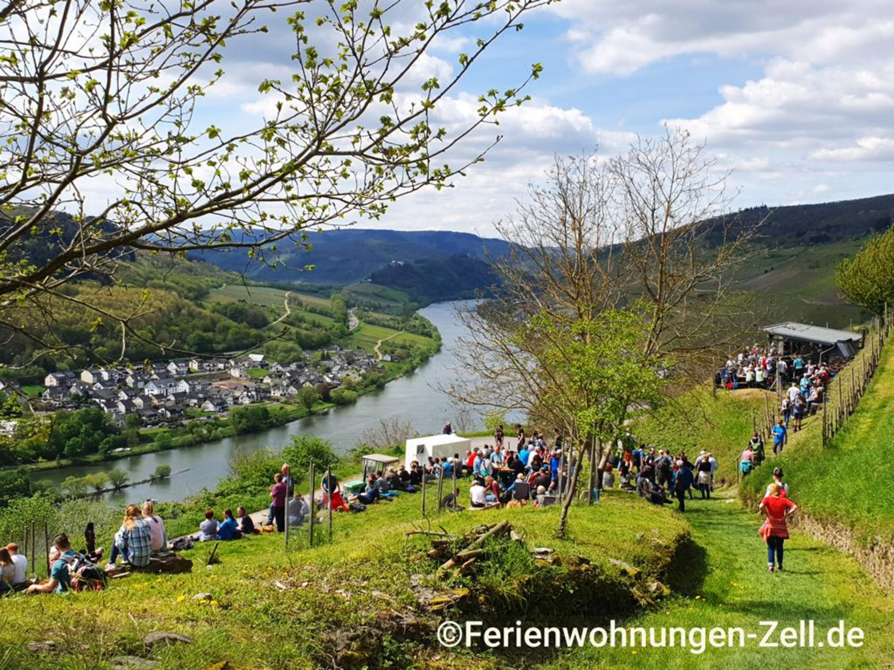 Event in den Weinbergen von Zell