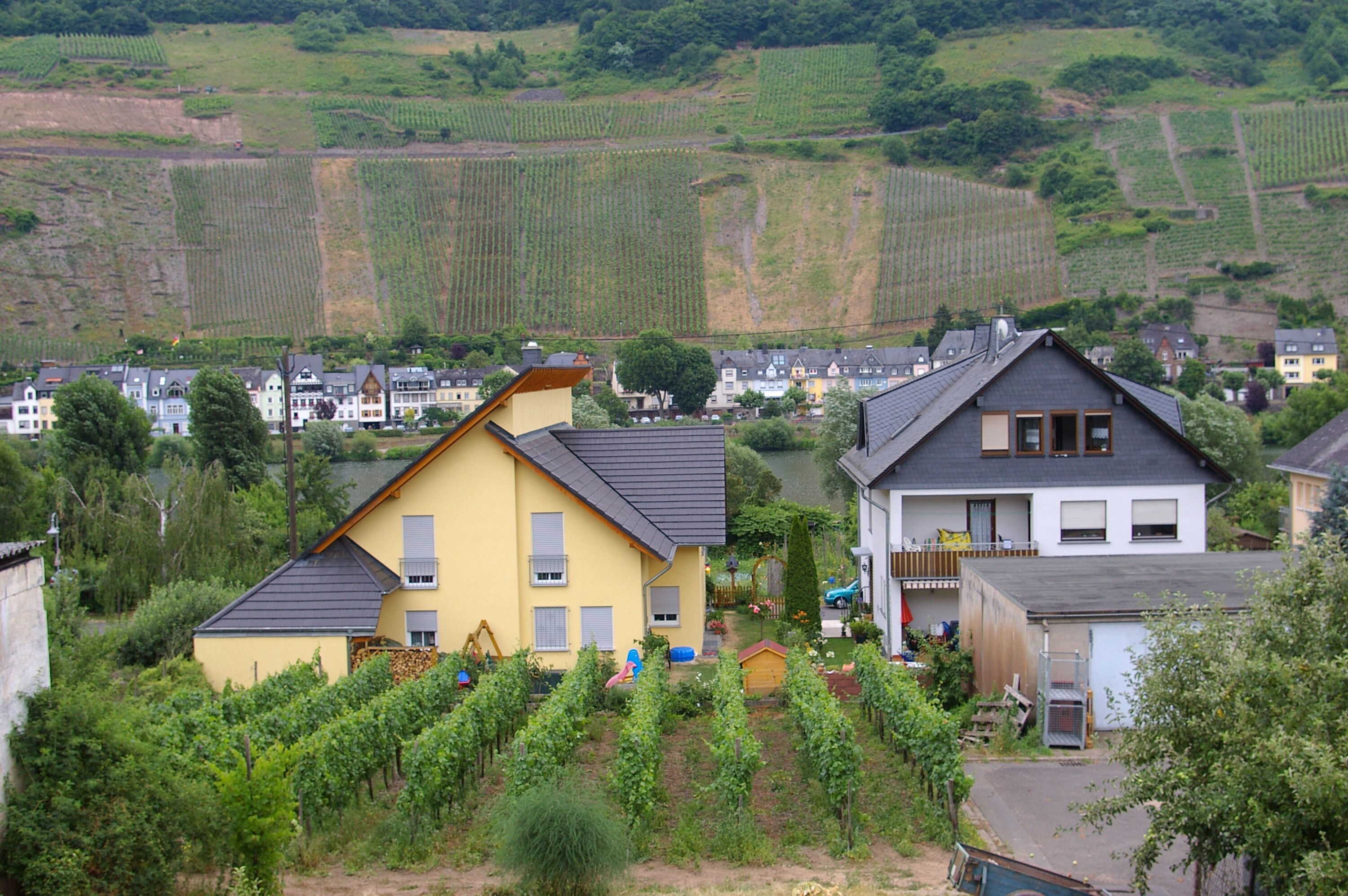 Ausblick auf Mosel und Weinberge
