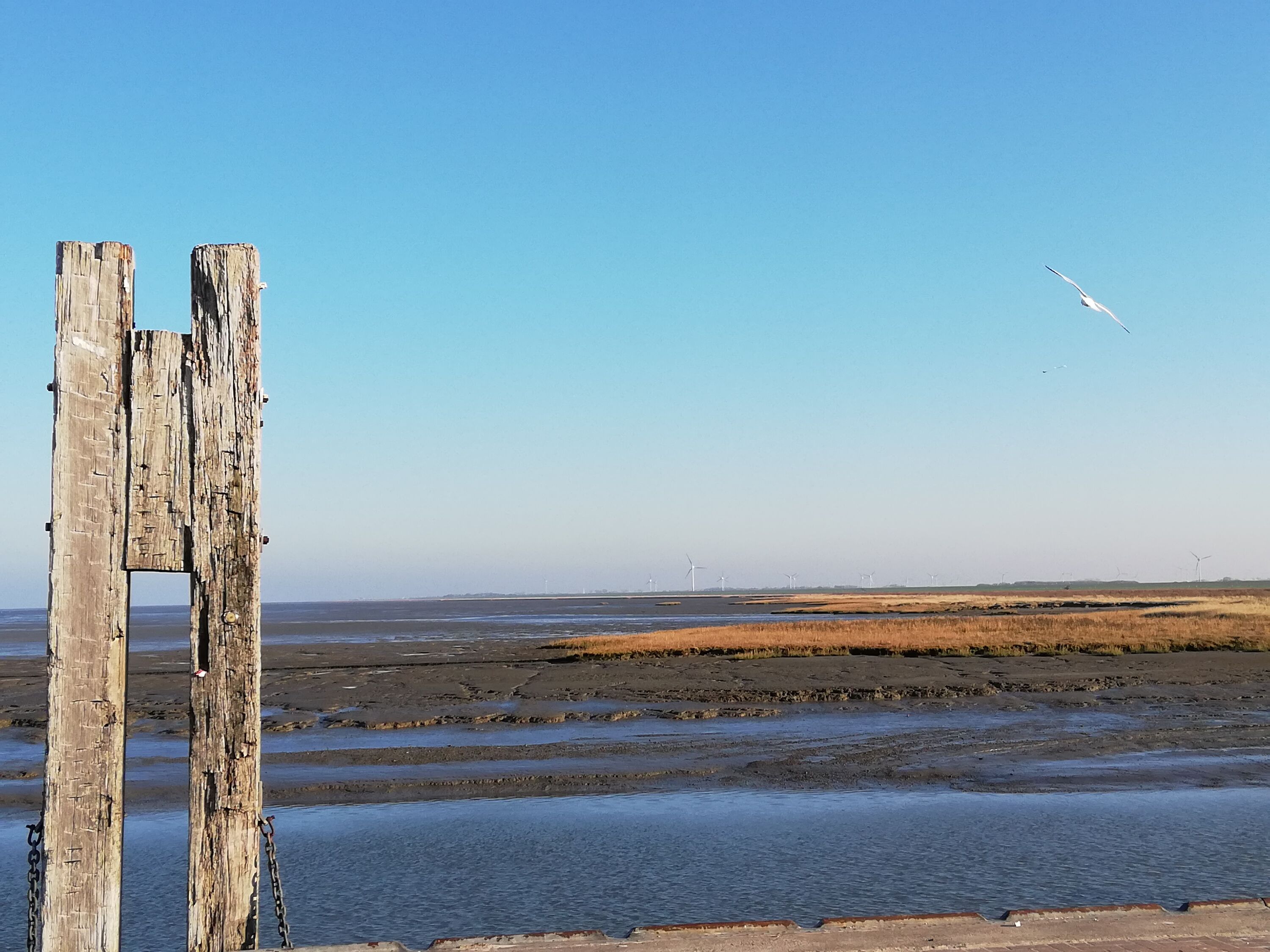 Wattenmeer