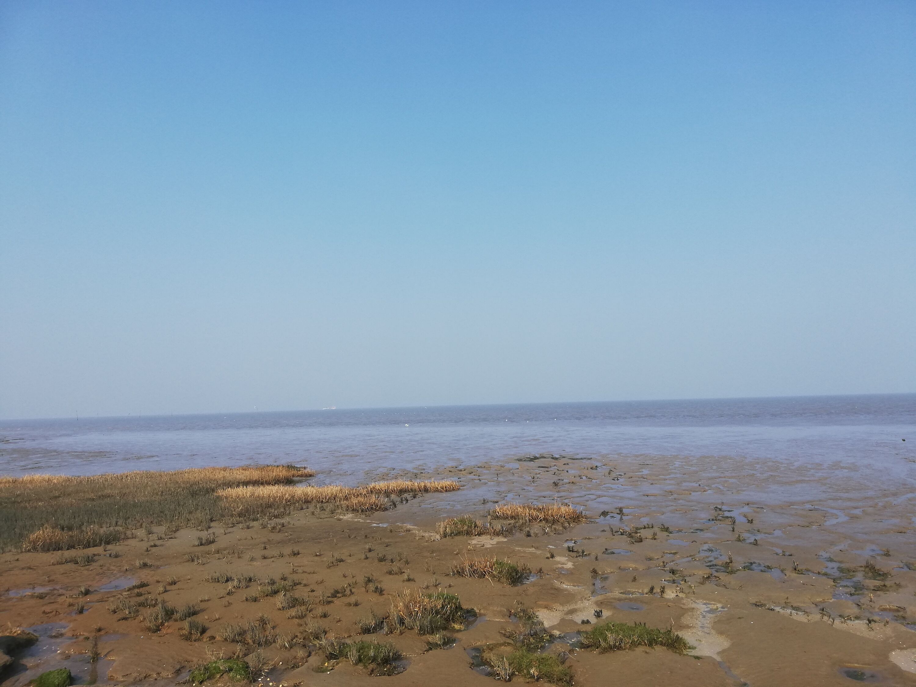 Wattenmeer