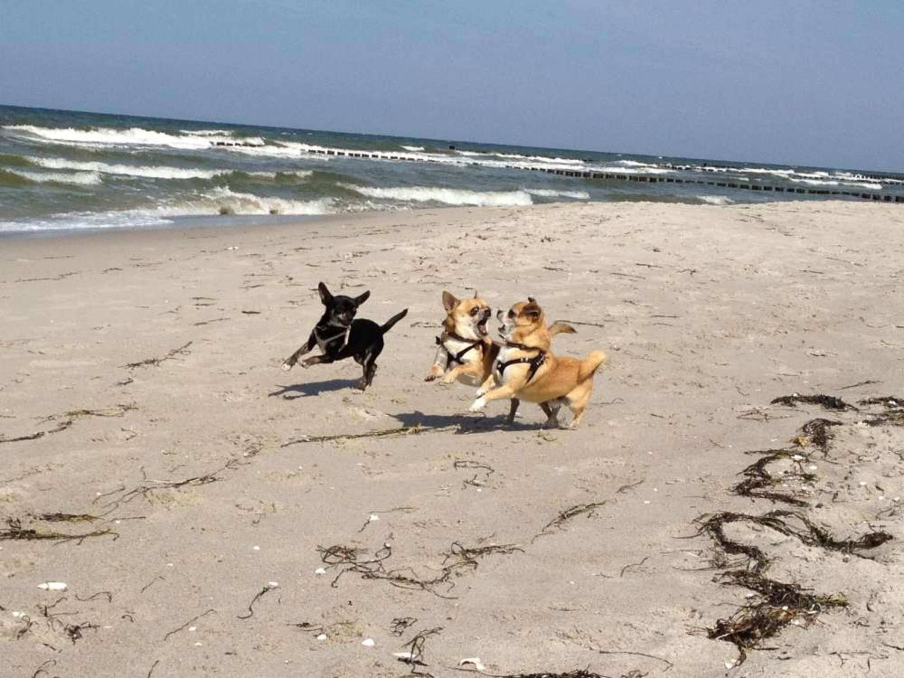 Ostseestrand