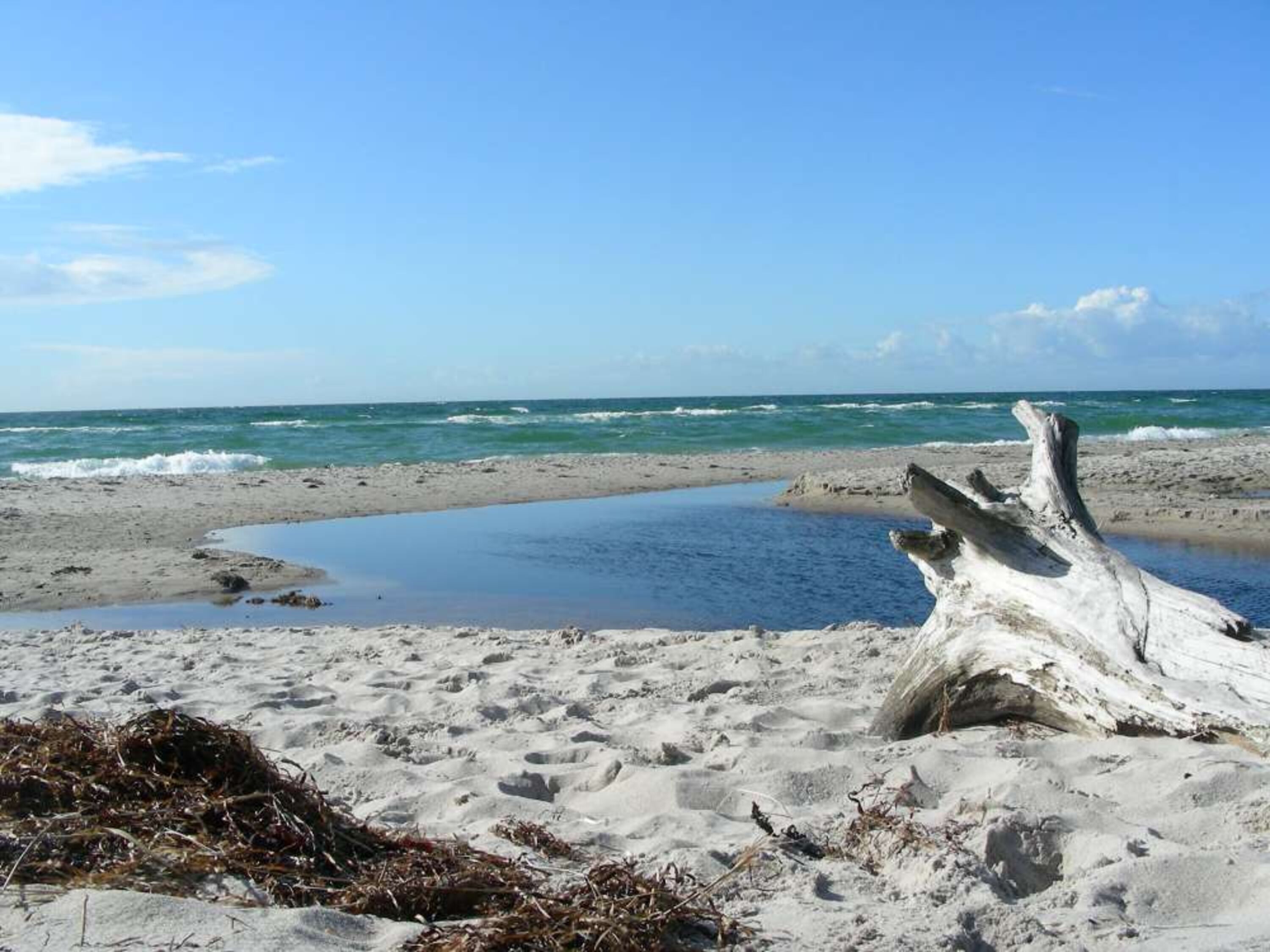 Naturstrand - Weststrand nach einem Sturm