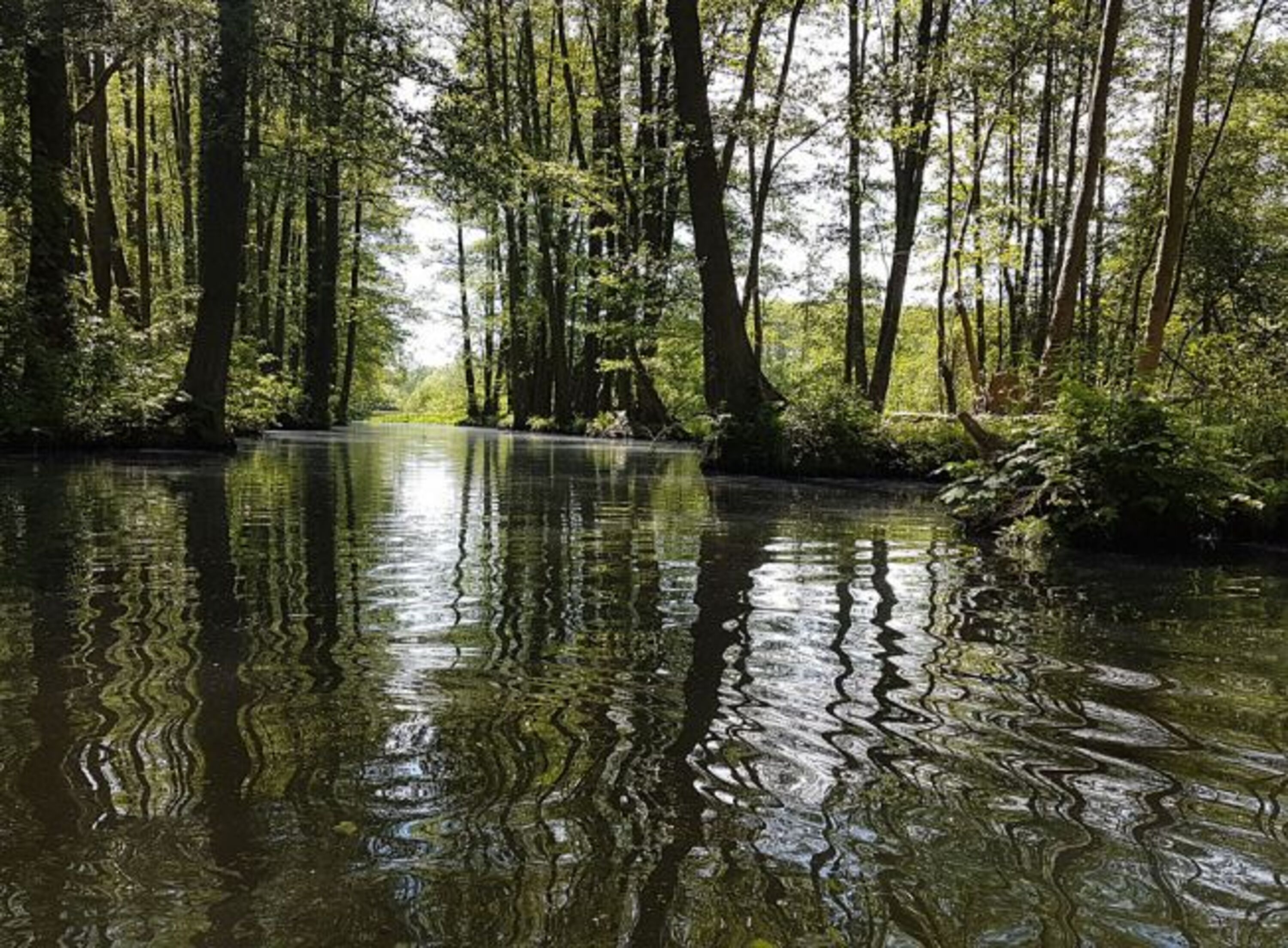 Radduscher Hafen - Richtung Burg 