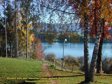 hier gehen Sie vom Ferienhaus hinter zum See