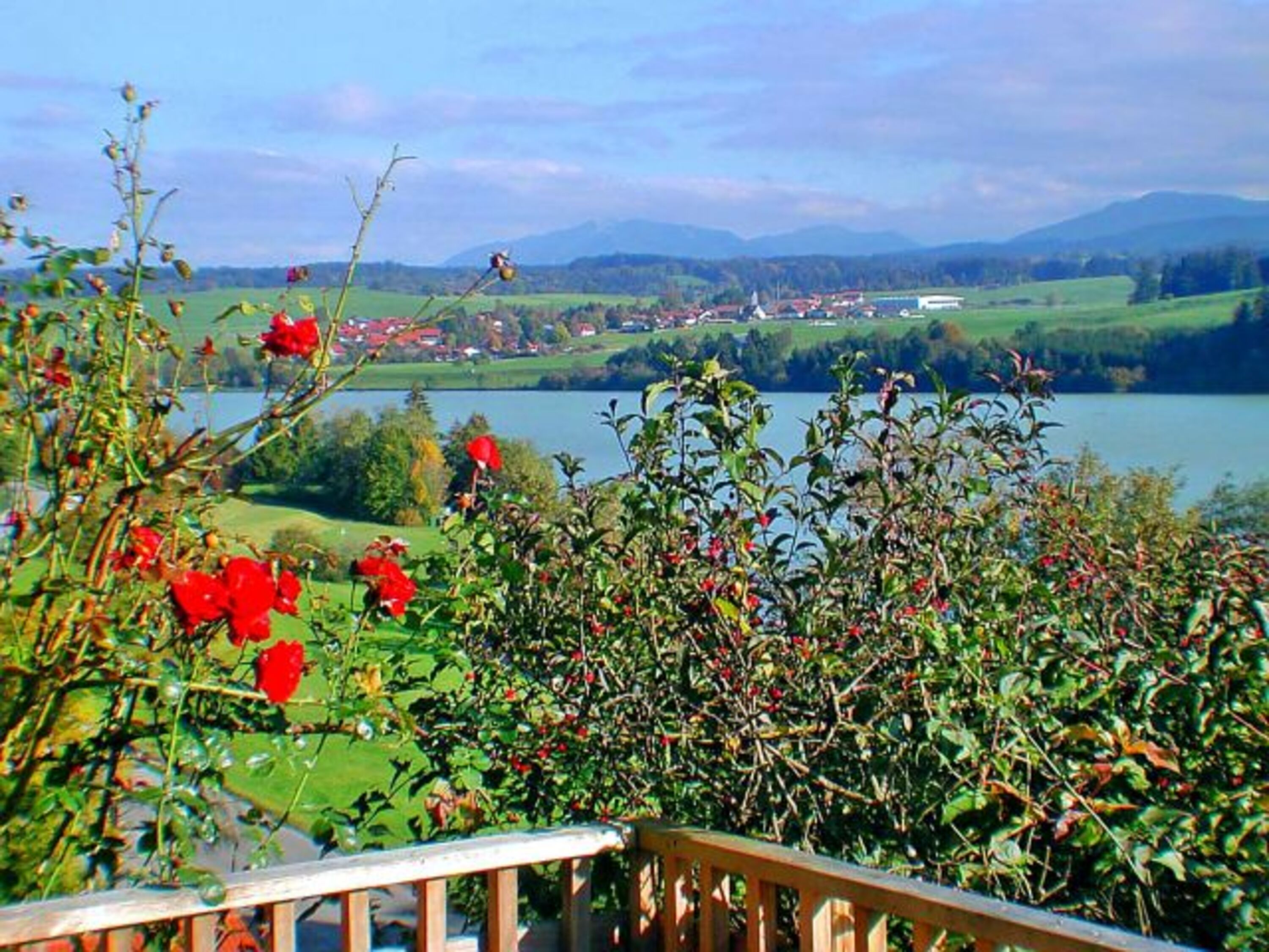 Bild 8