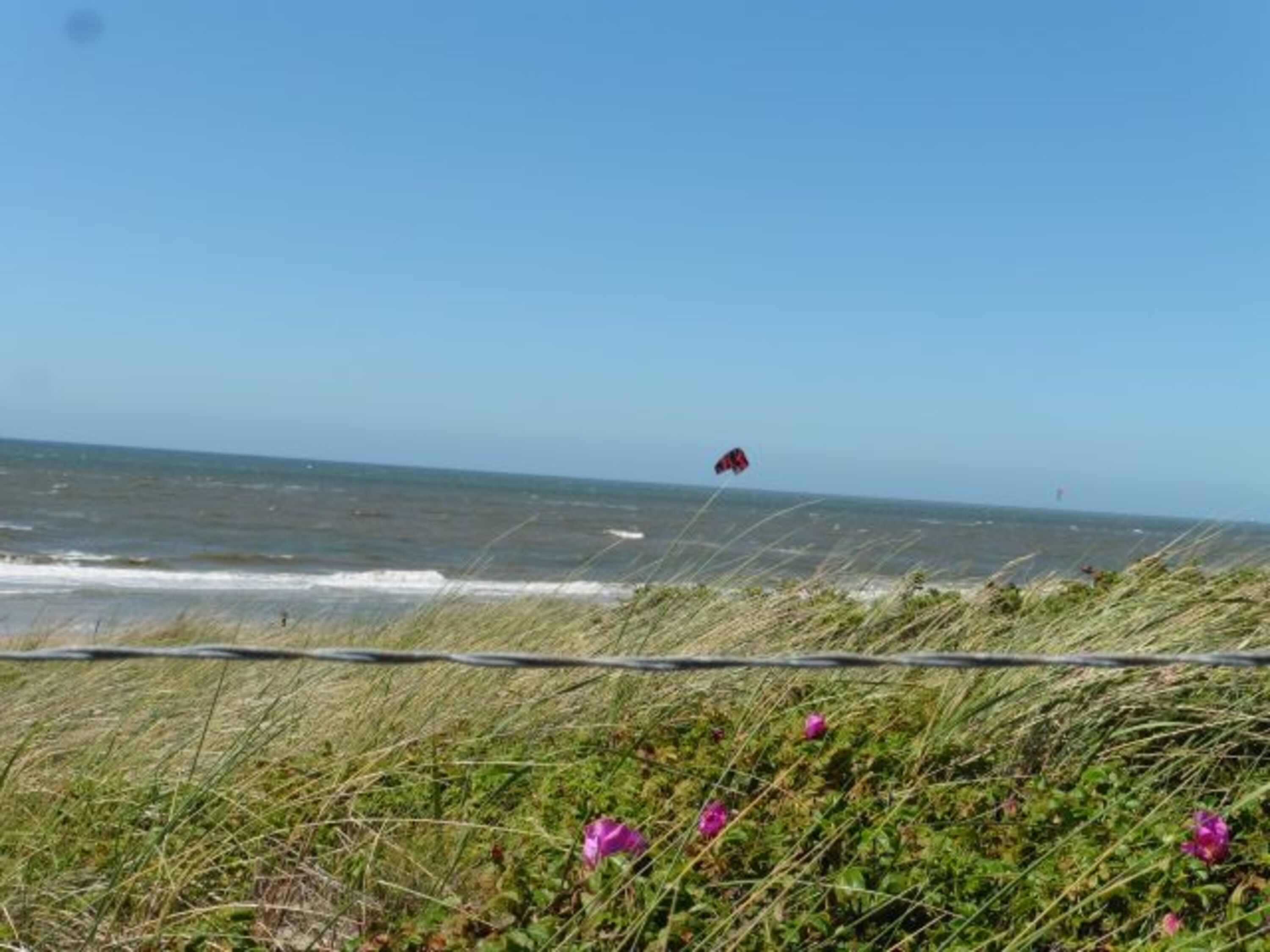 Dünen und Meer