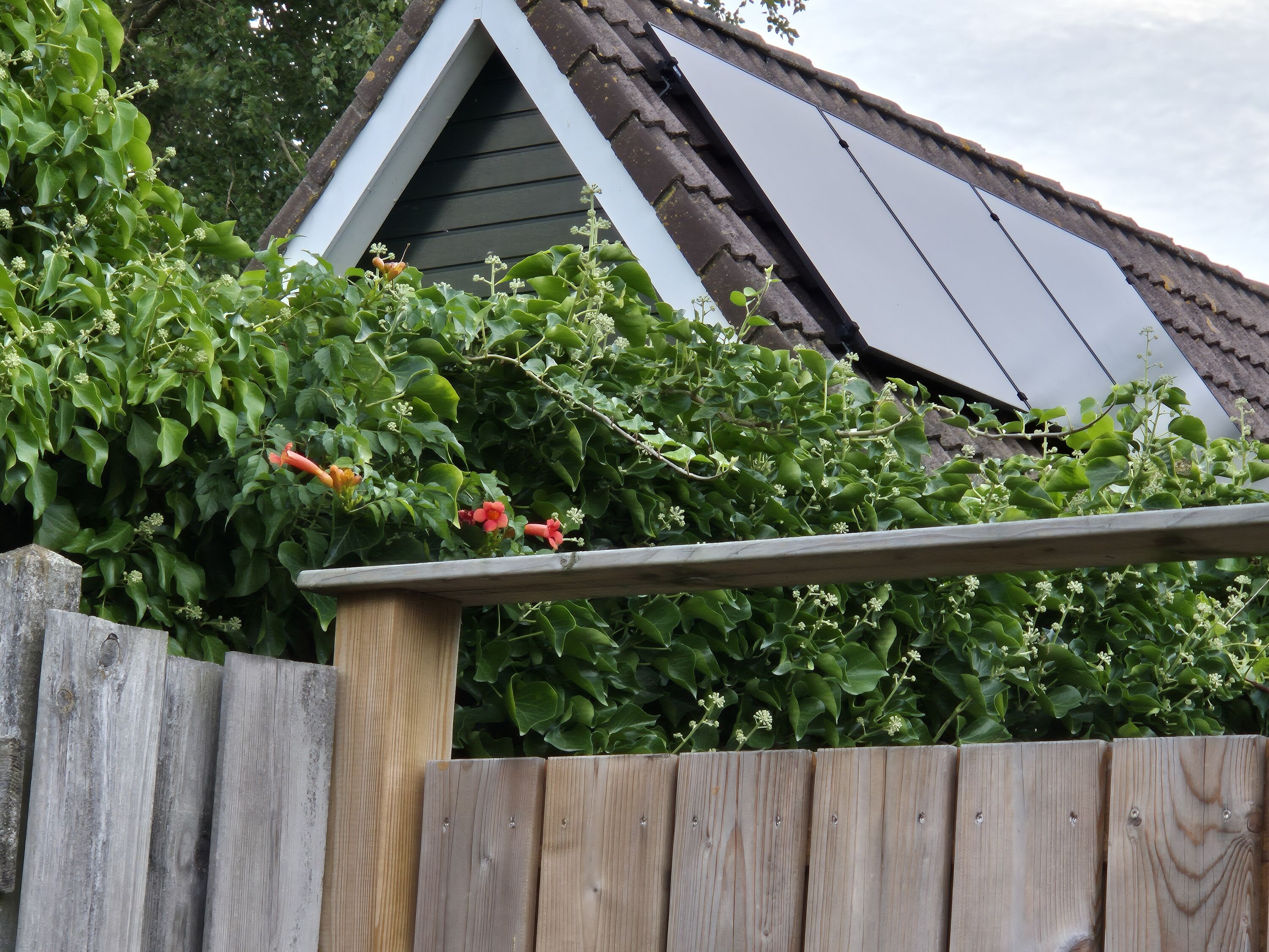Unsere Photovoltaik