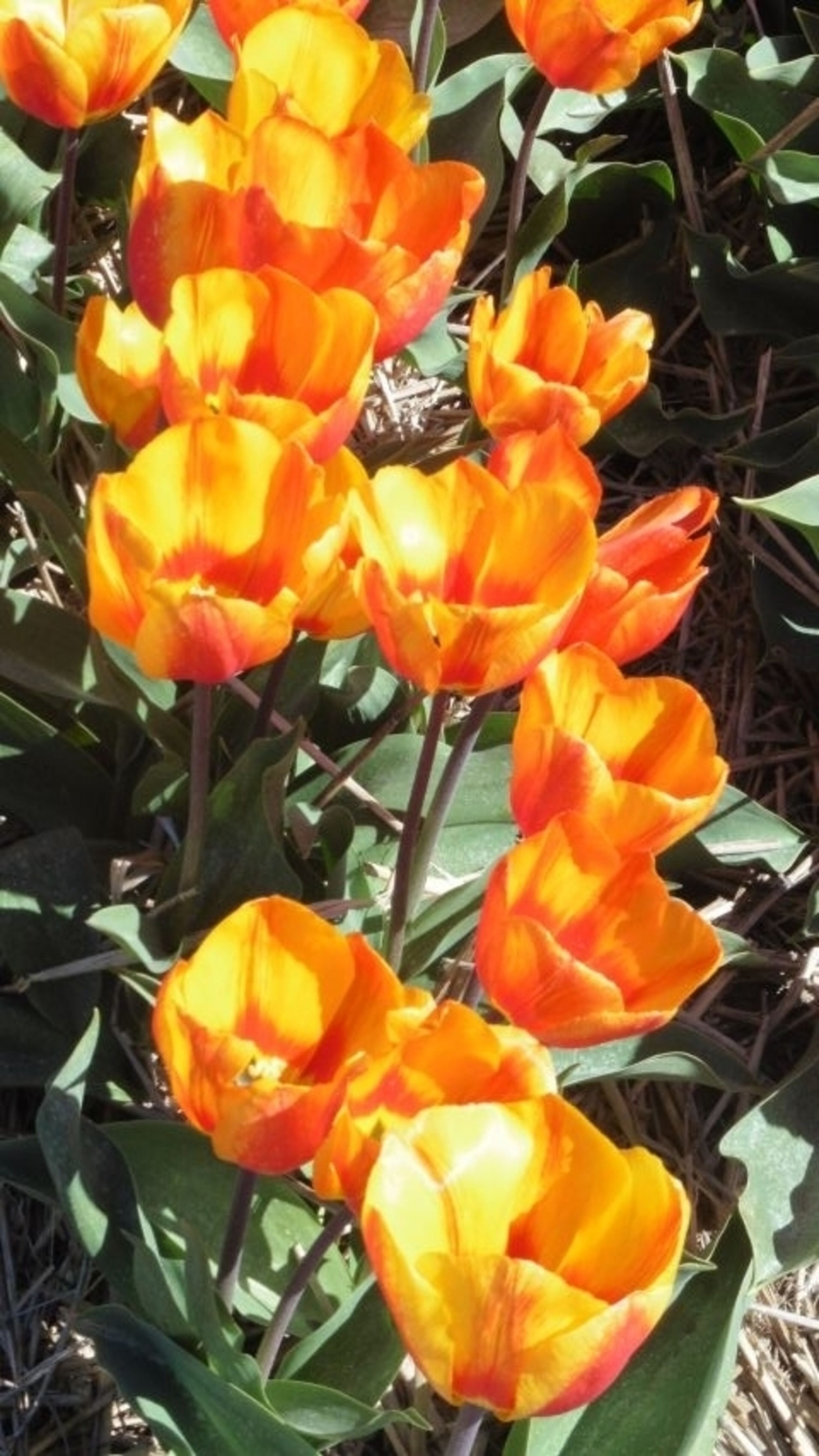 Bild 8