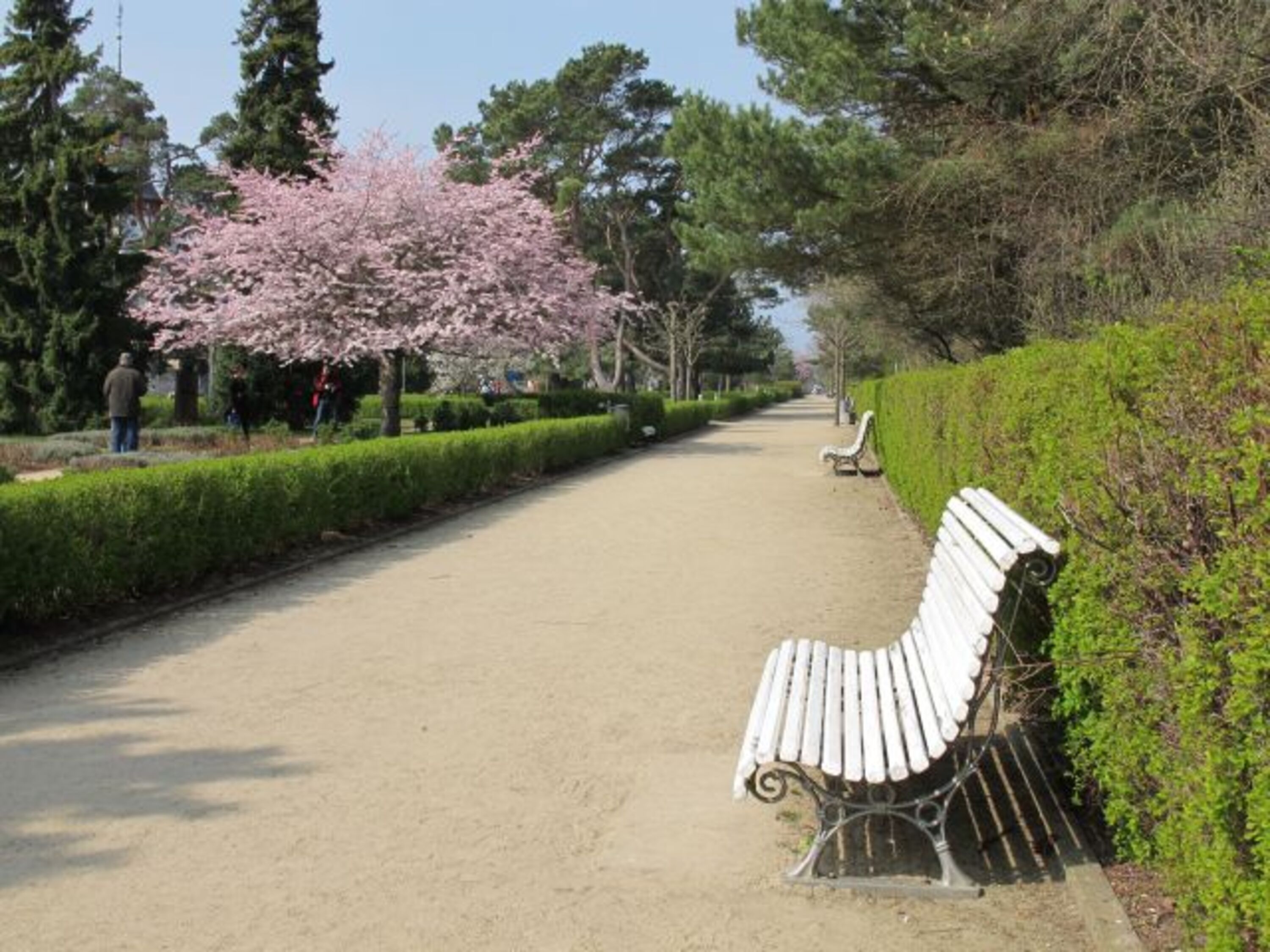Strandpromenade Zinnowitz