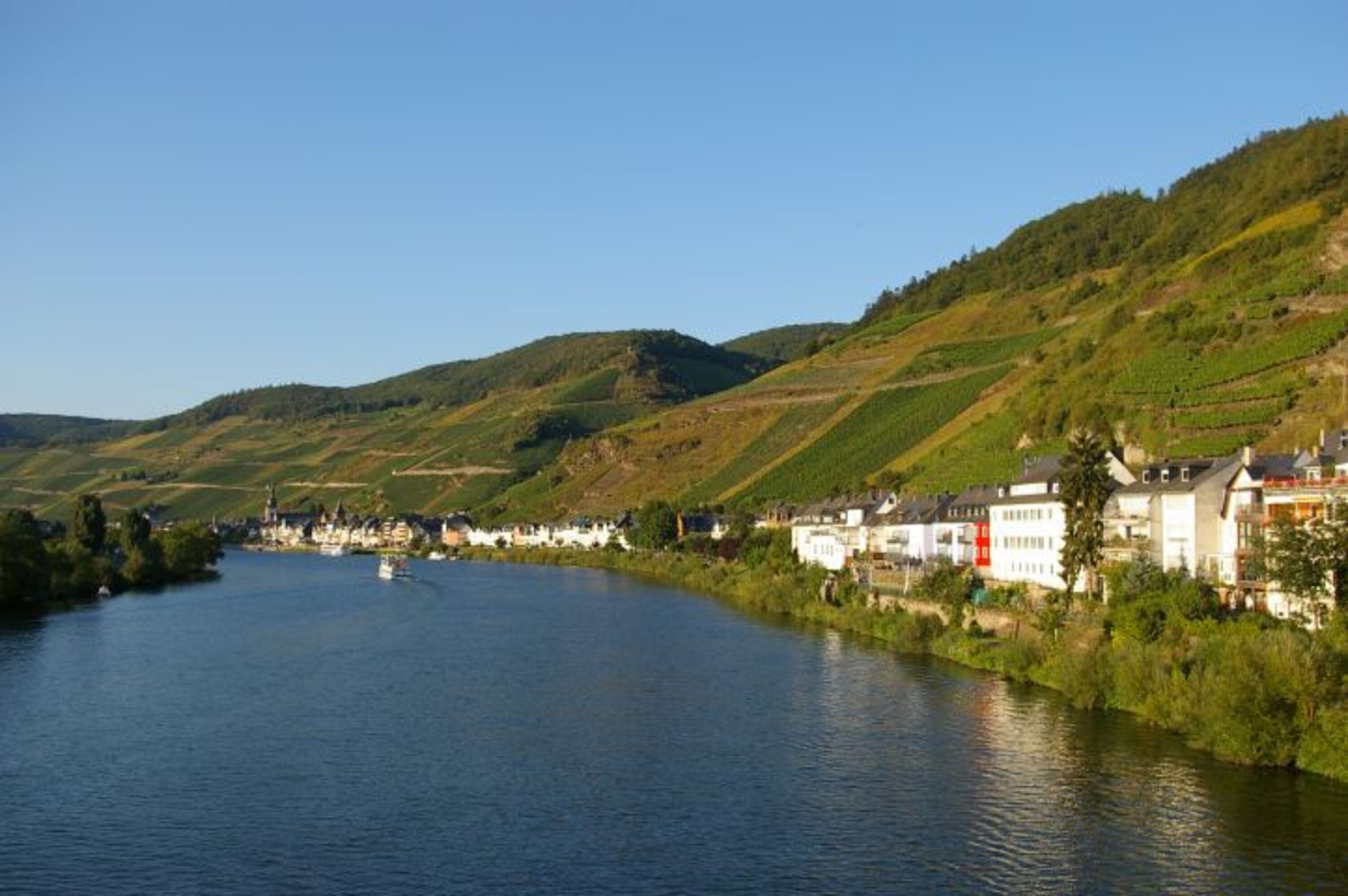 Zell Mosel