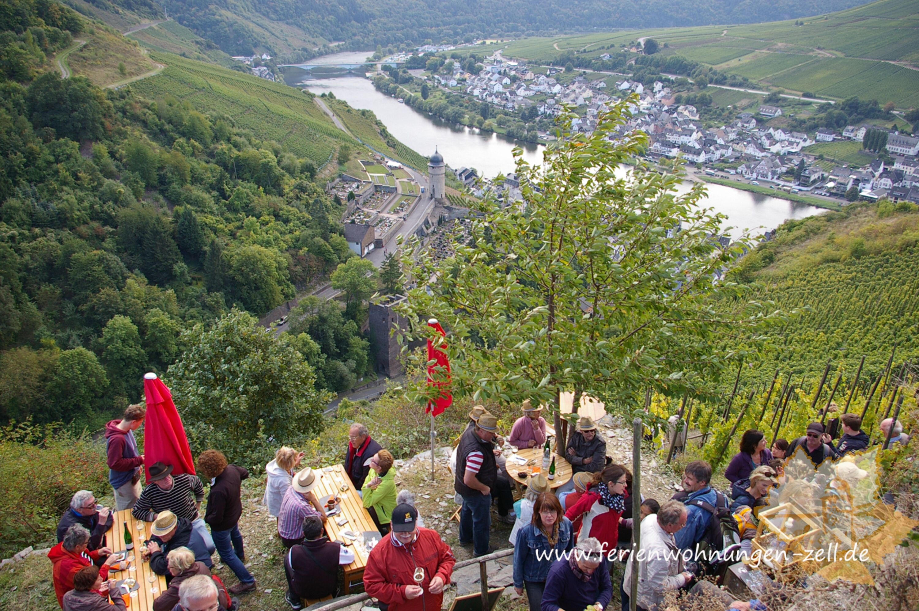 Event in den Weinbergen