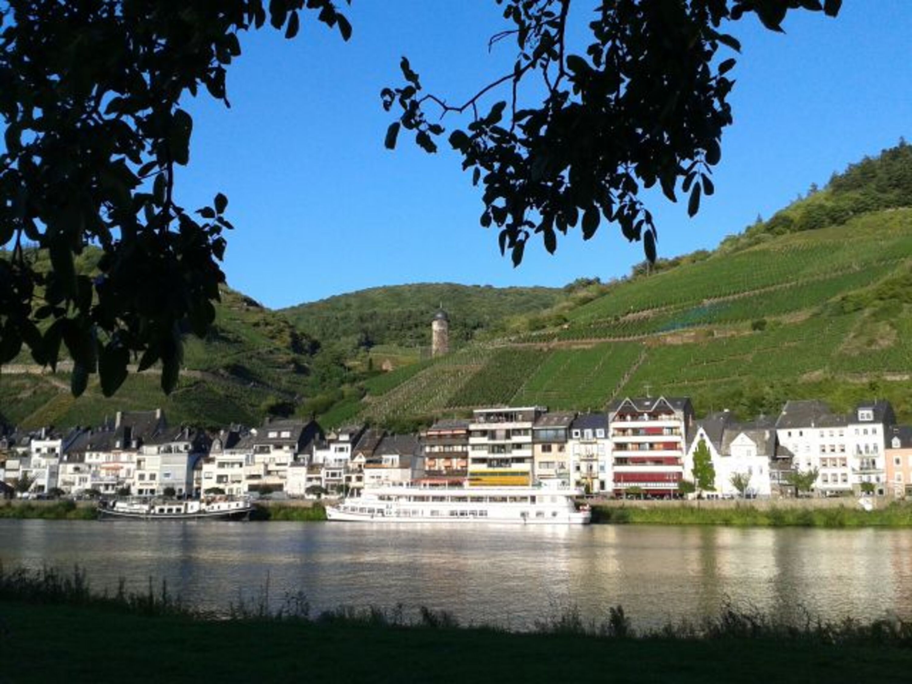 Zell Mosel