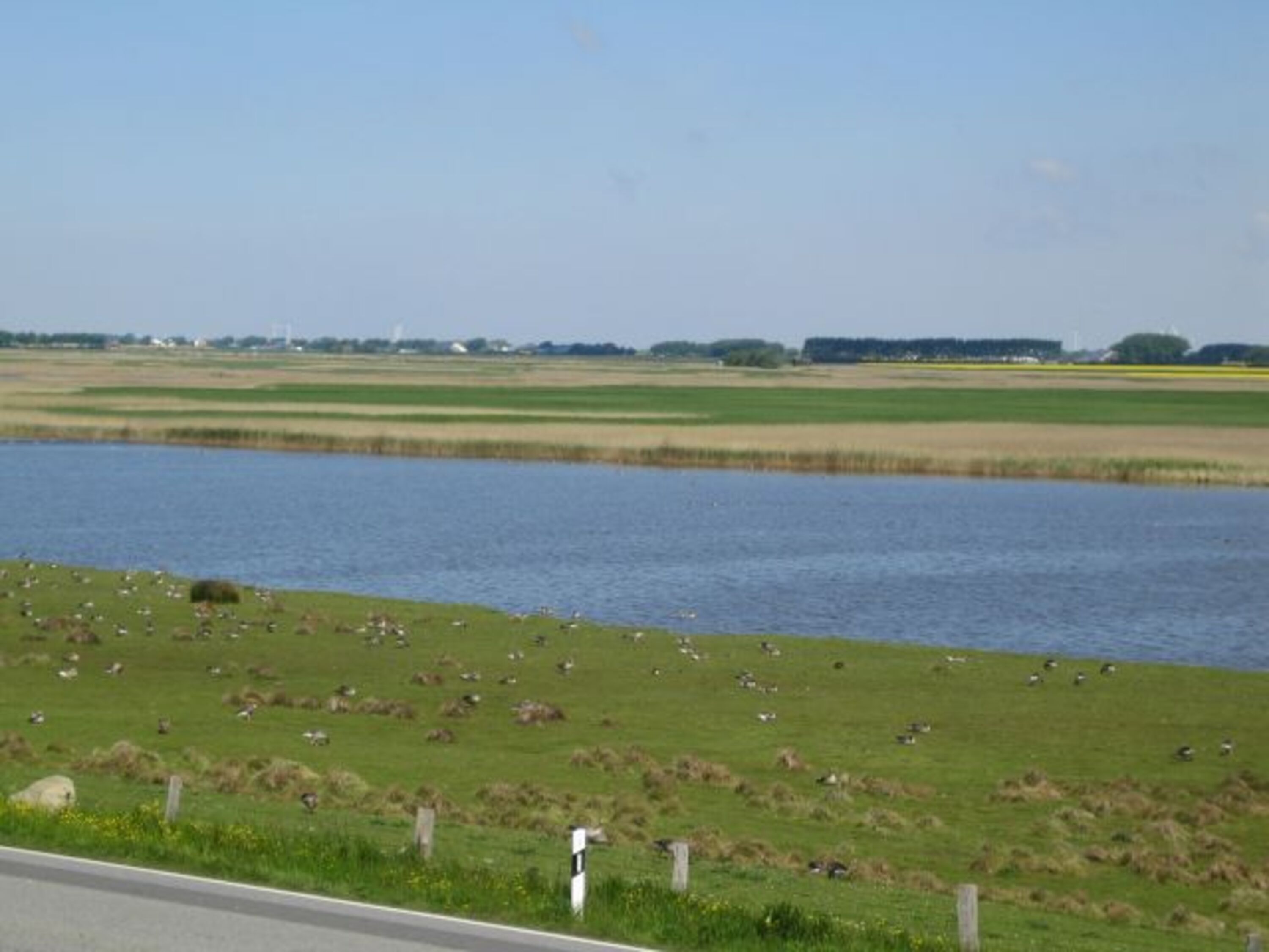 Bild 14