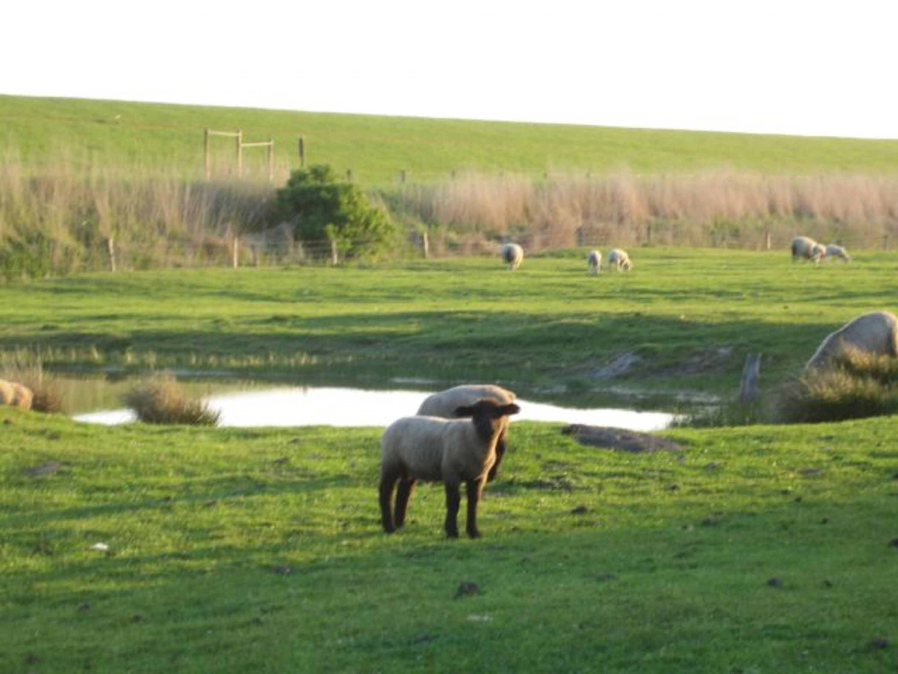 Bild 13