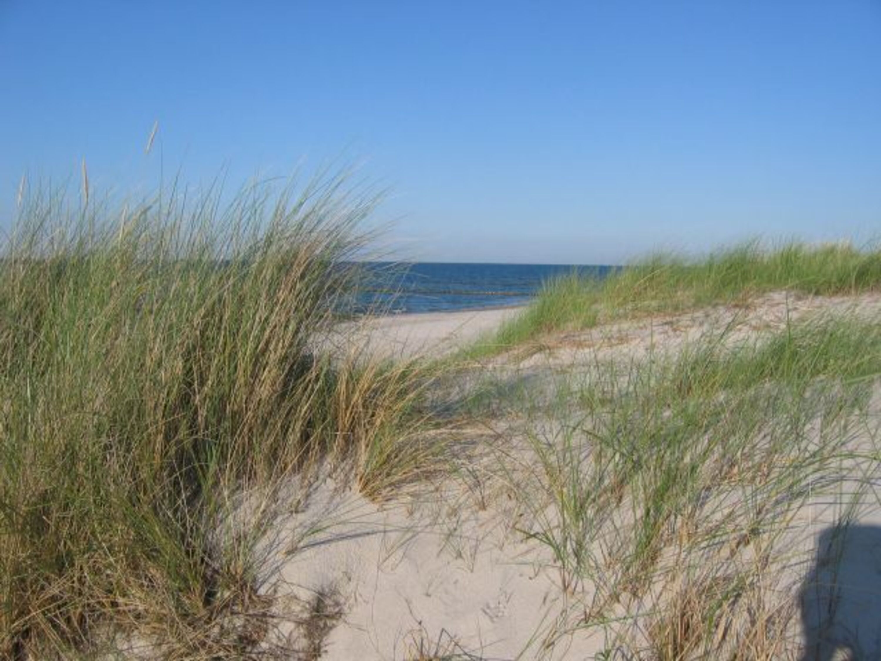 Weg zum Strand