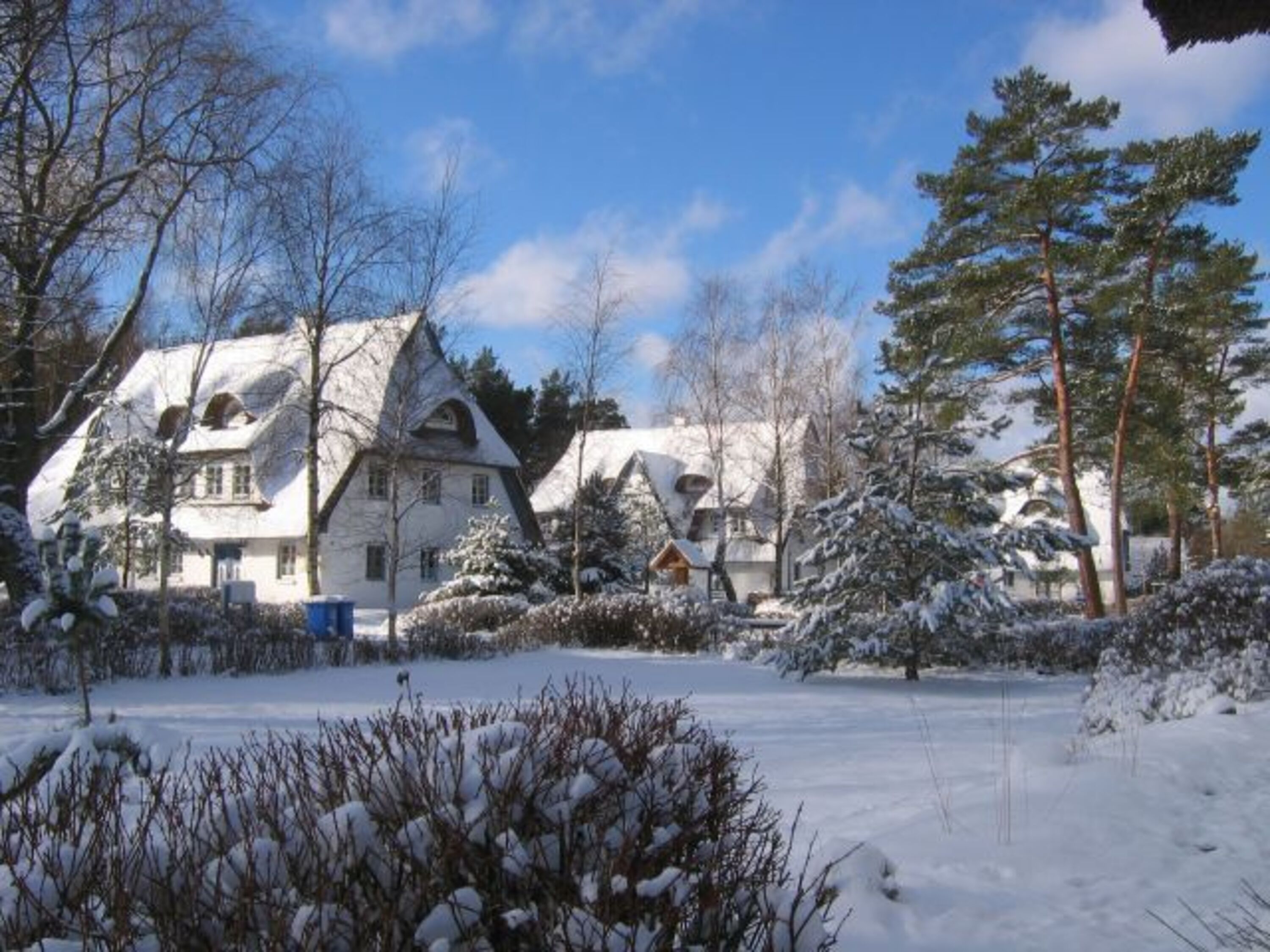 Achtern Diek im Winter
