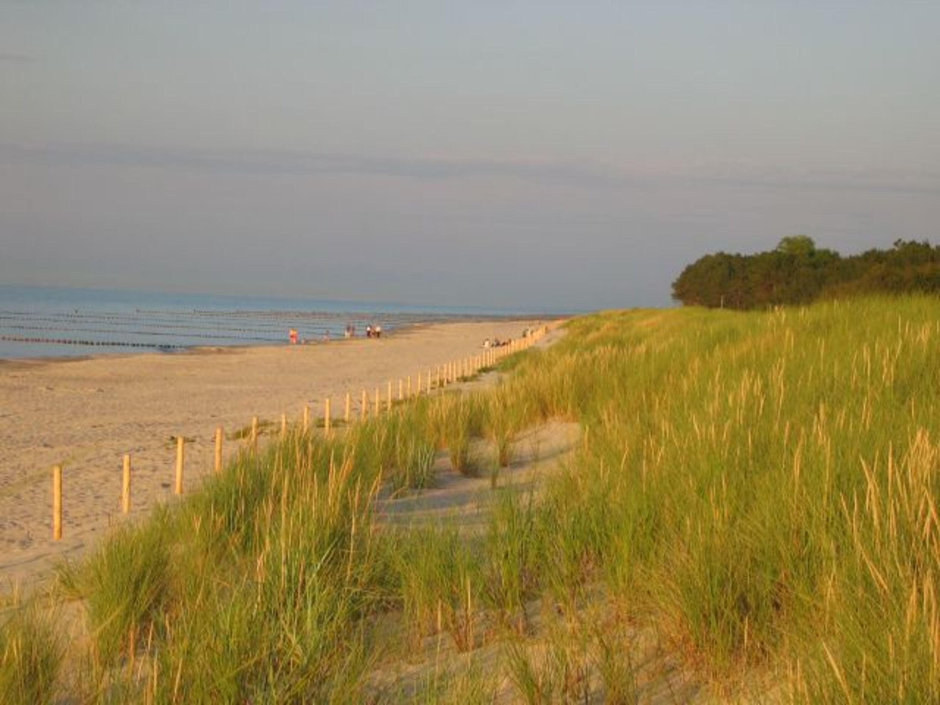 an Strand