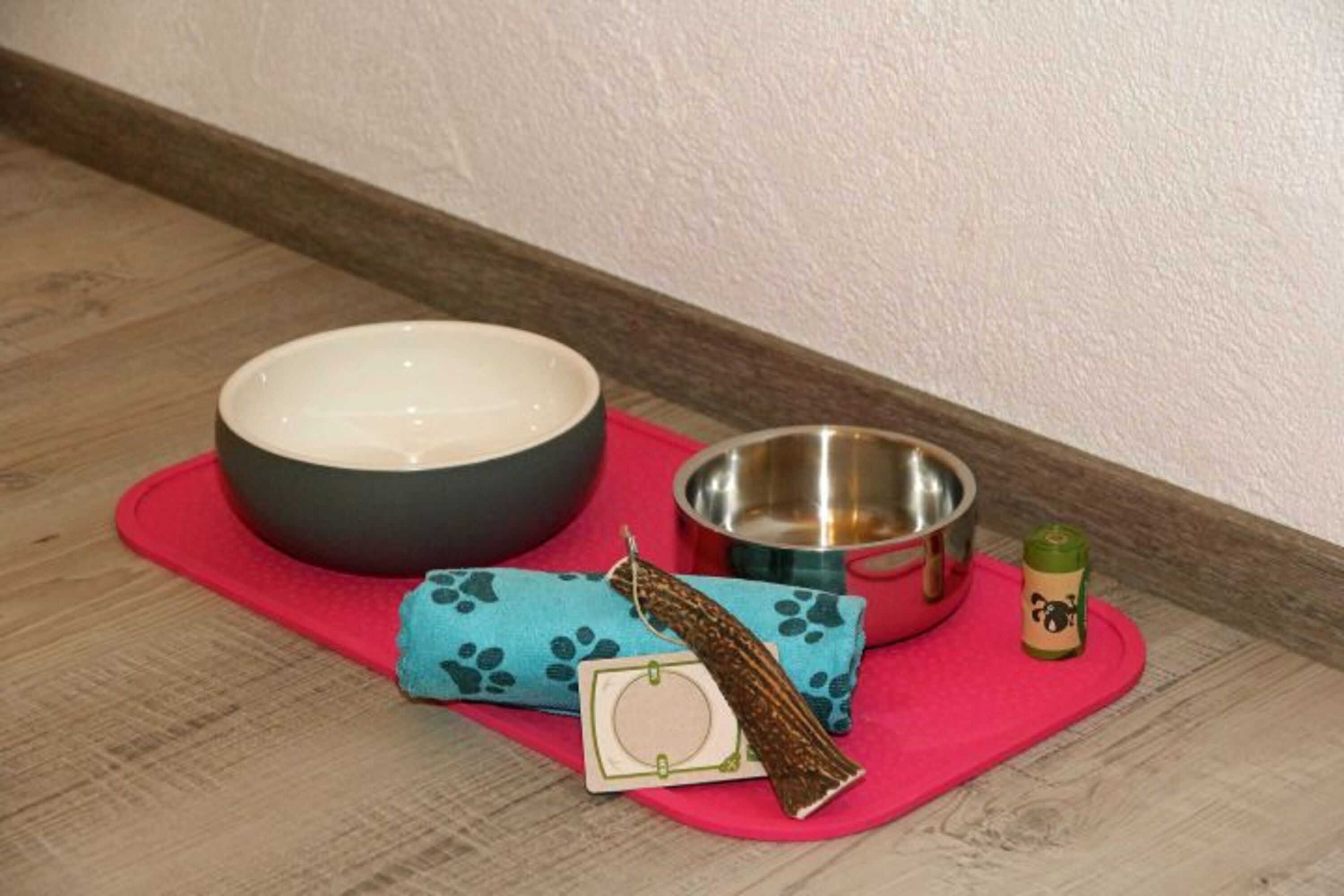 Hunde erwartet eine kleine Überraschung