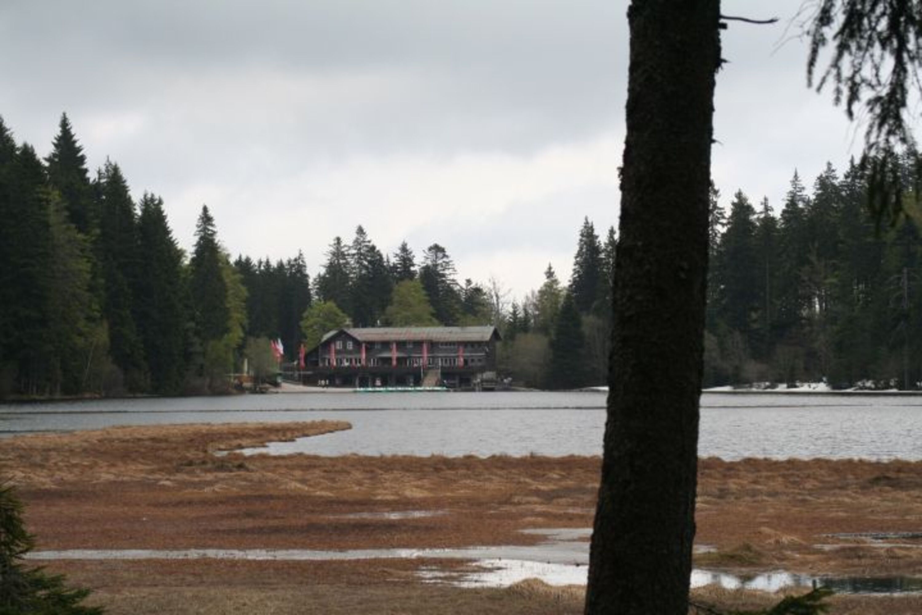 Am großen Arbersee