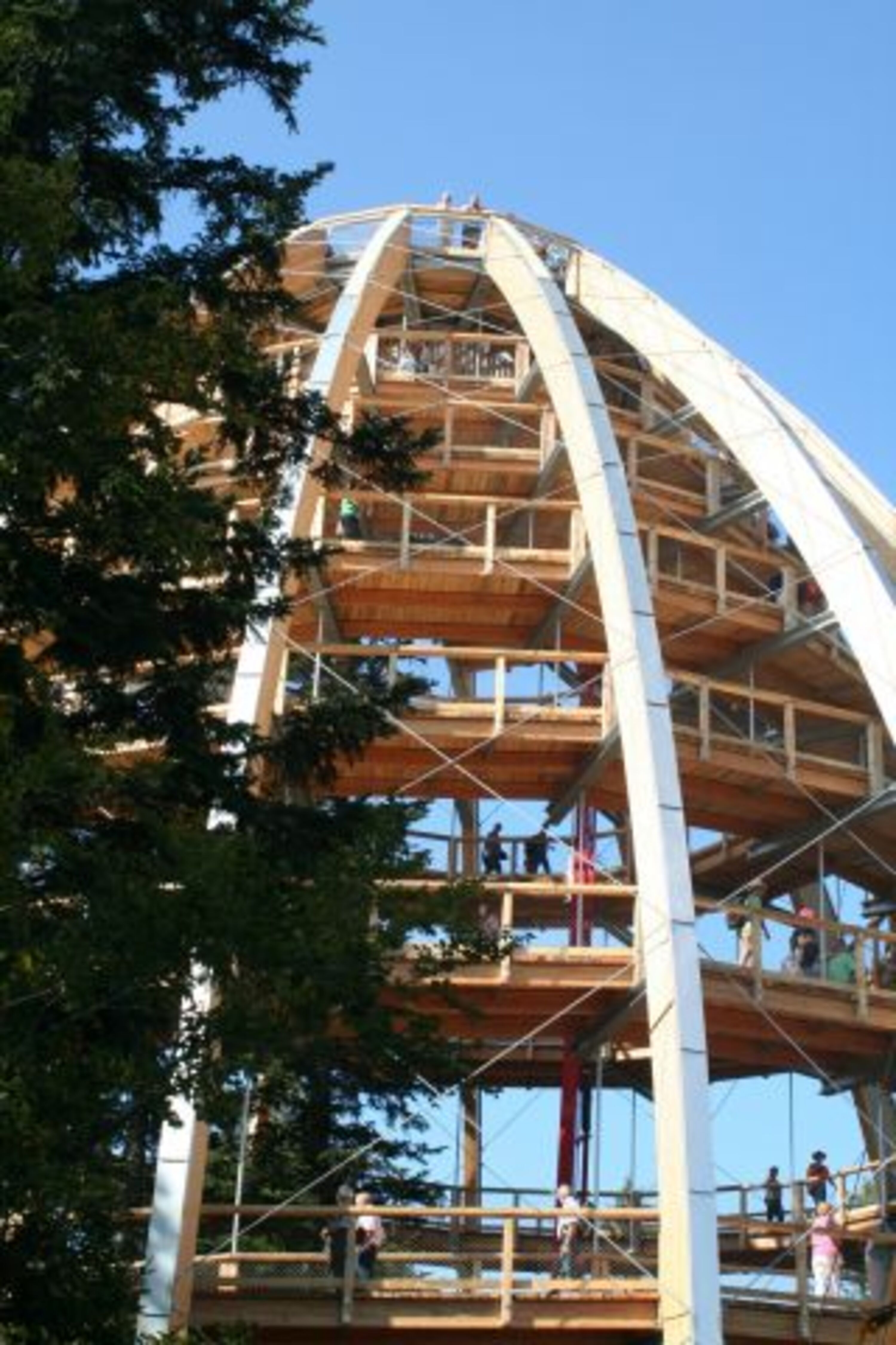 Turm am Baumwipfelpfad in Neuschönau