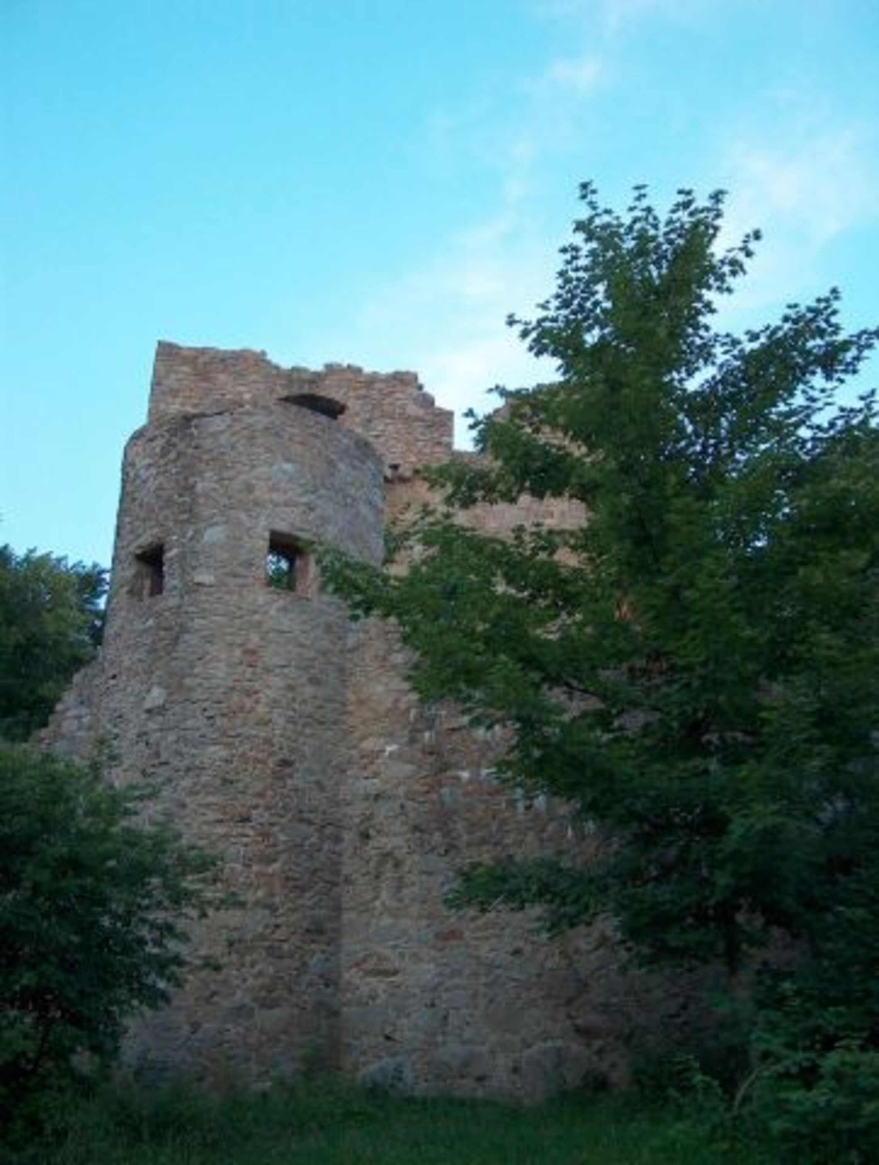 Burgruine Kürnburg oberhalb des Parks im Wald