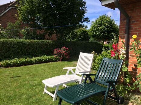 Garten im Juni
