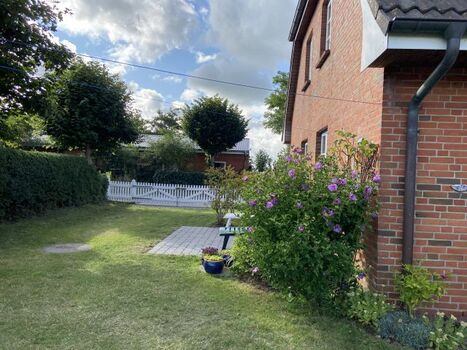 Gartenansicht im August