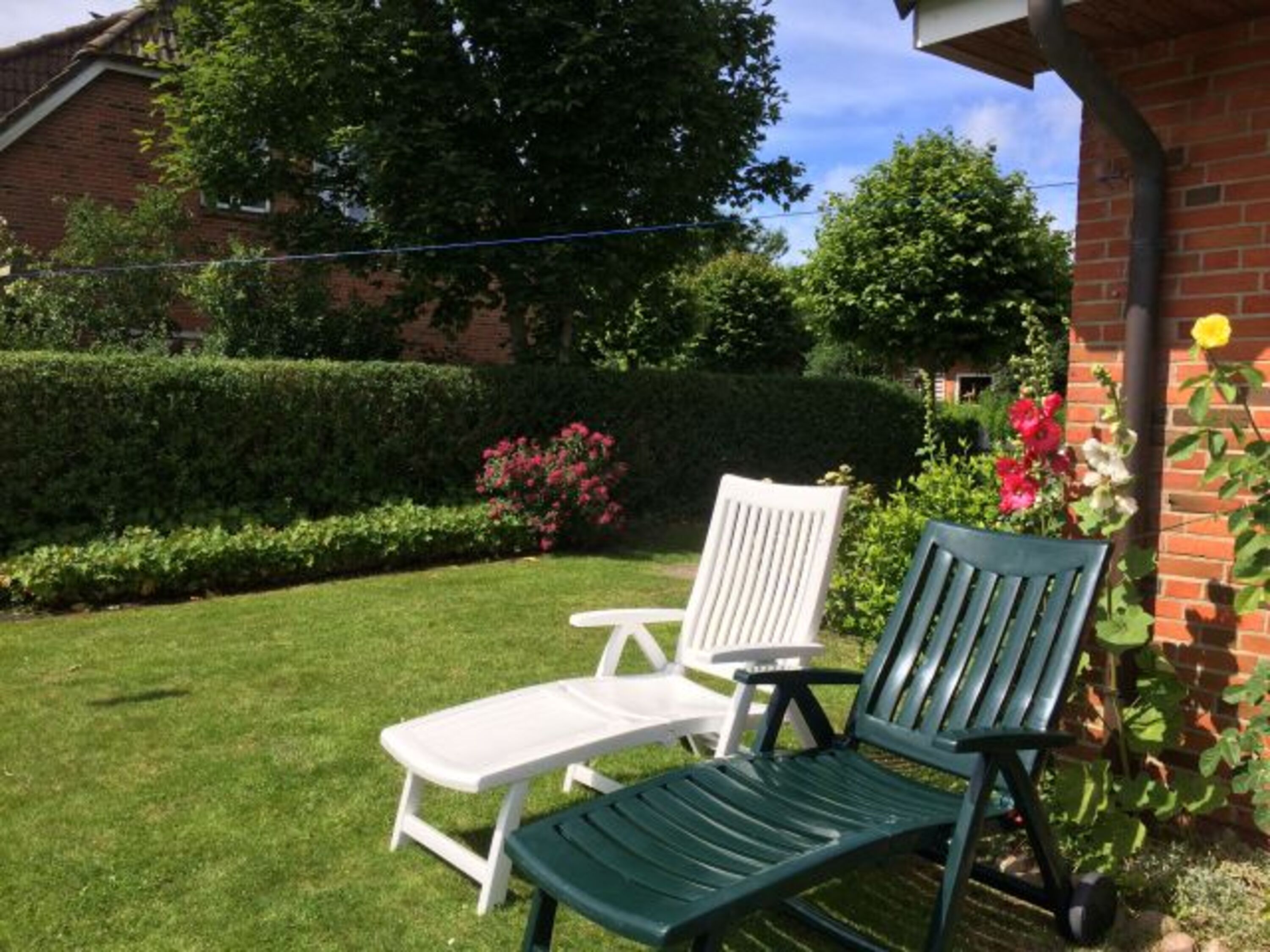 Garten im Juni