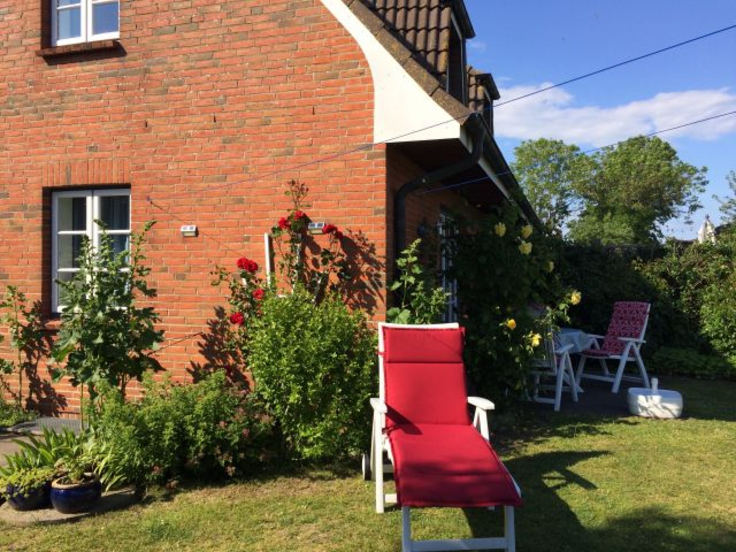 Garten mit Blick auf die Terrasse vorm Wohnzimmer