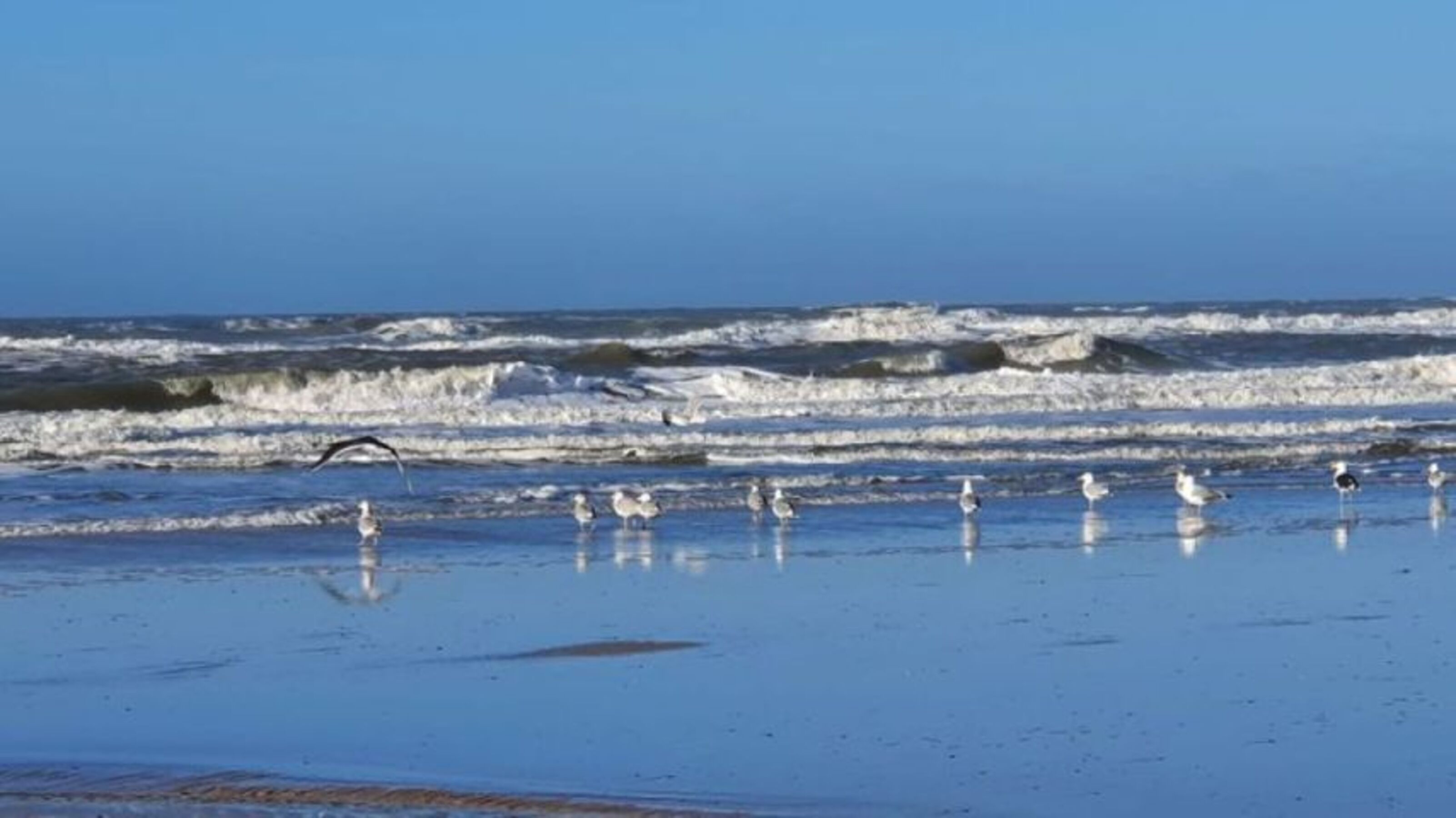 Sommer am Strand