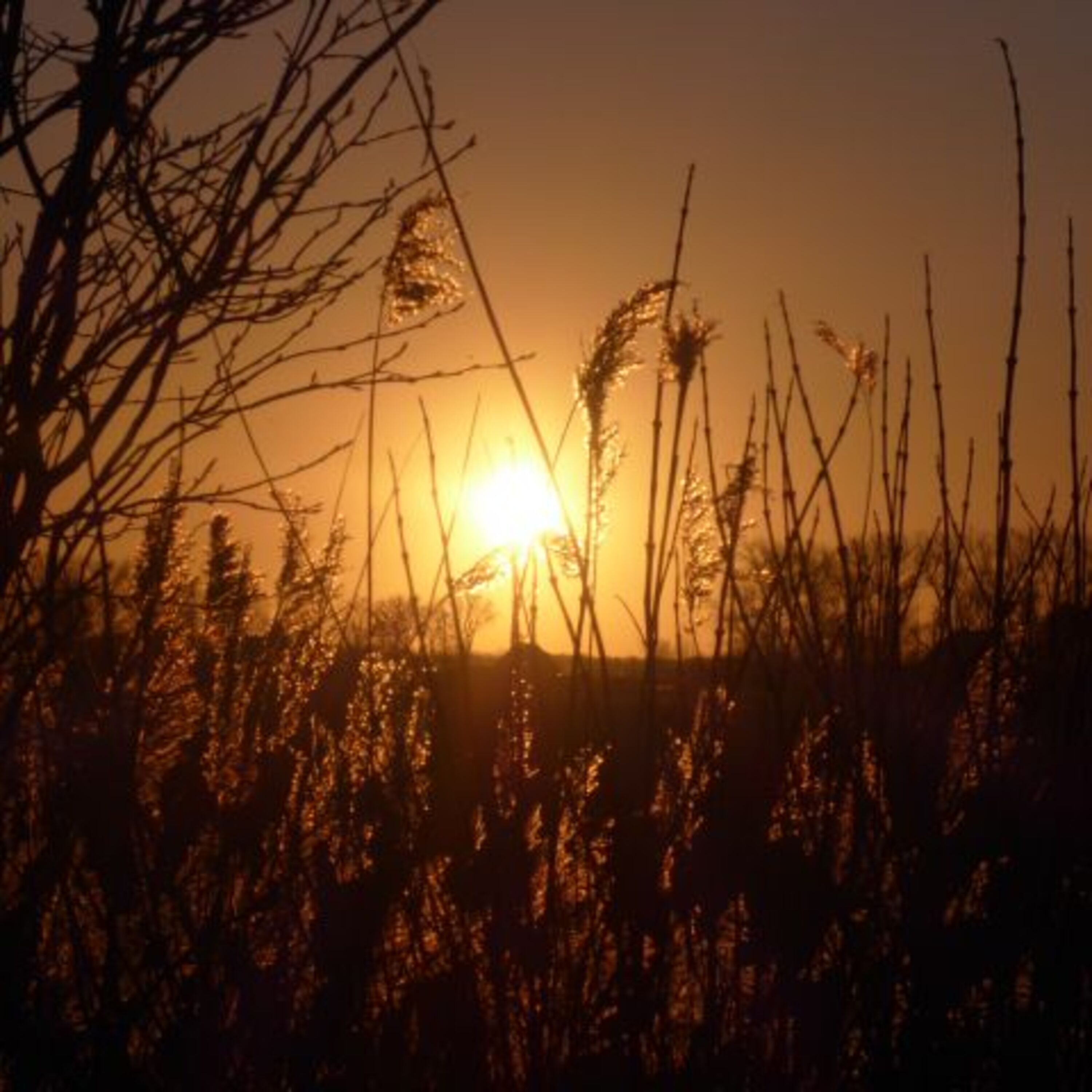 Sonnenaufgang/Blick von der Terrasse aus