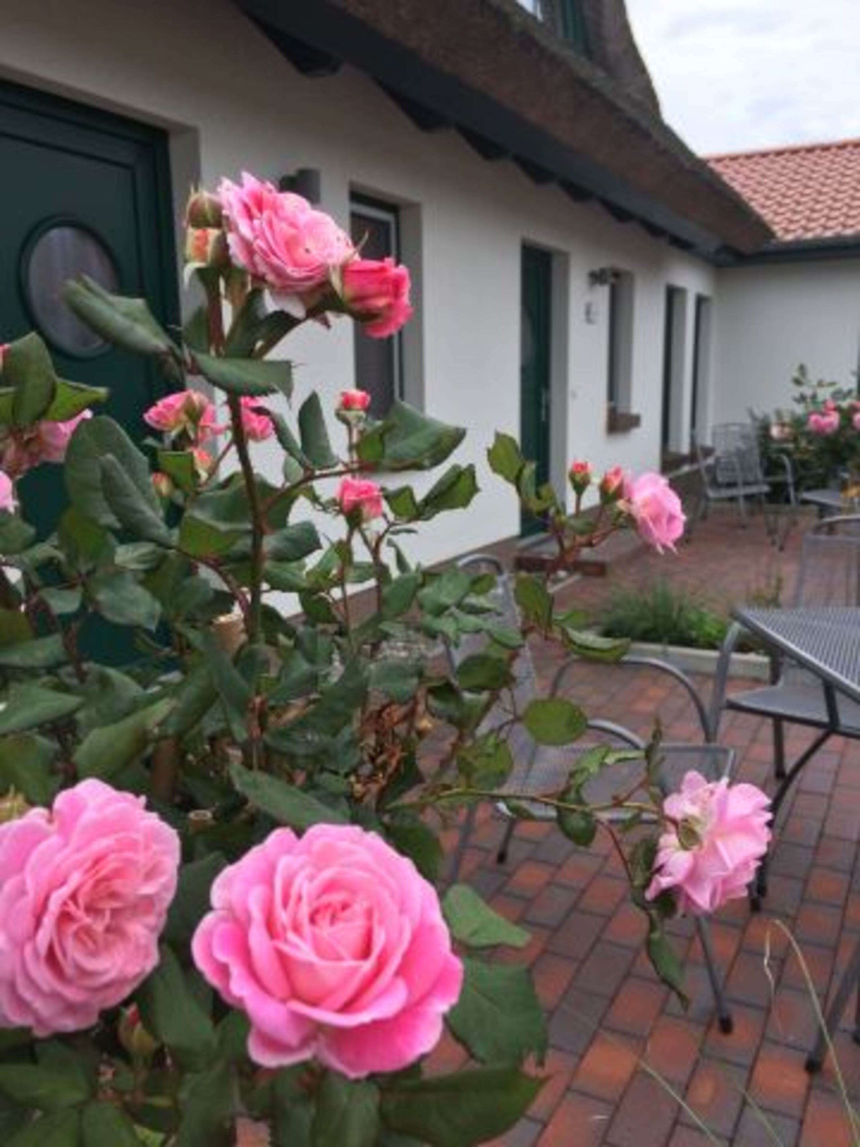 Bild 5