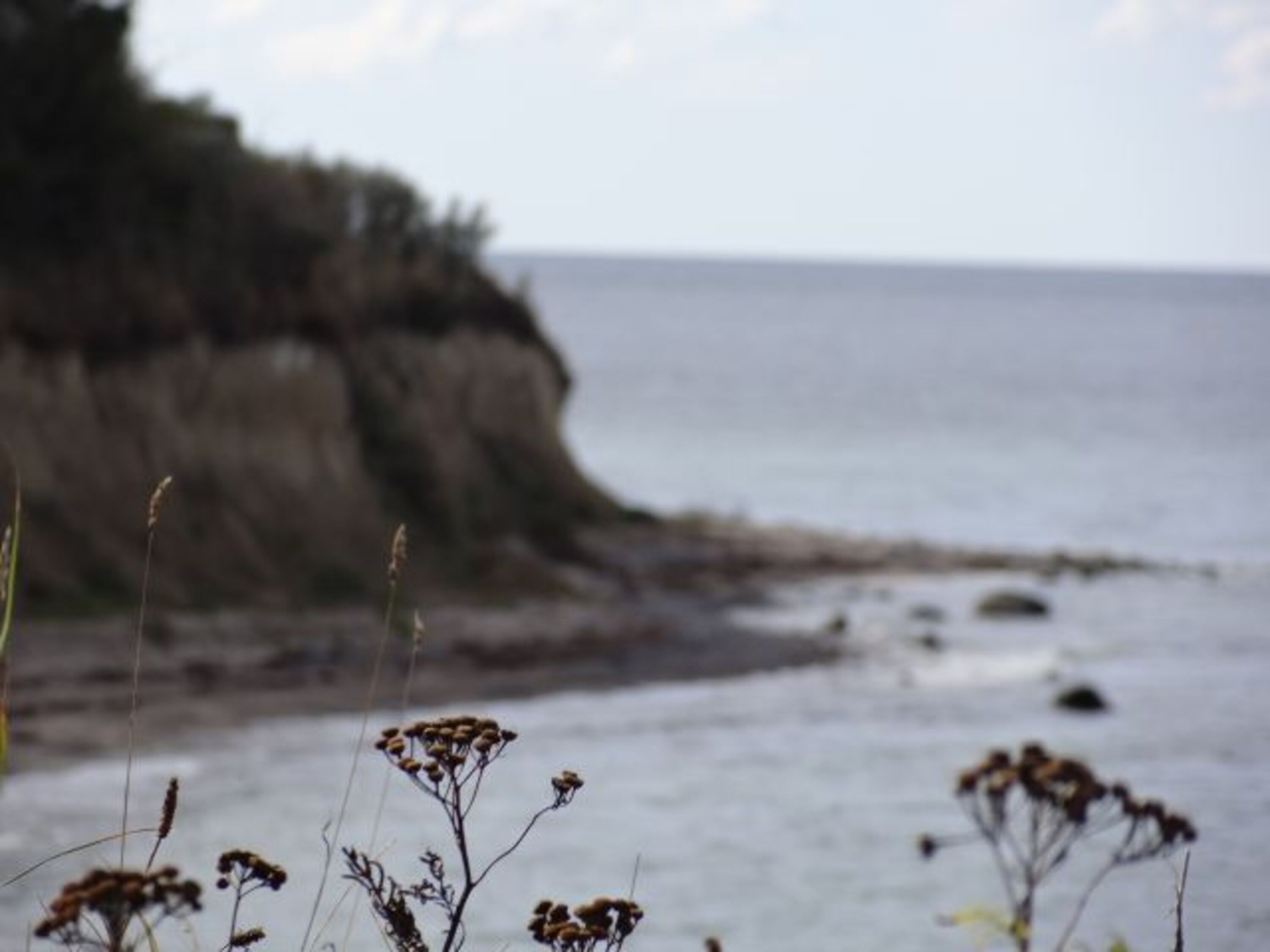 die Steilküste in unserer Nähe - sie besteht meist aus Lehm, Erde und Sand