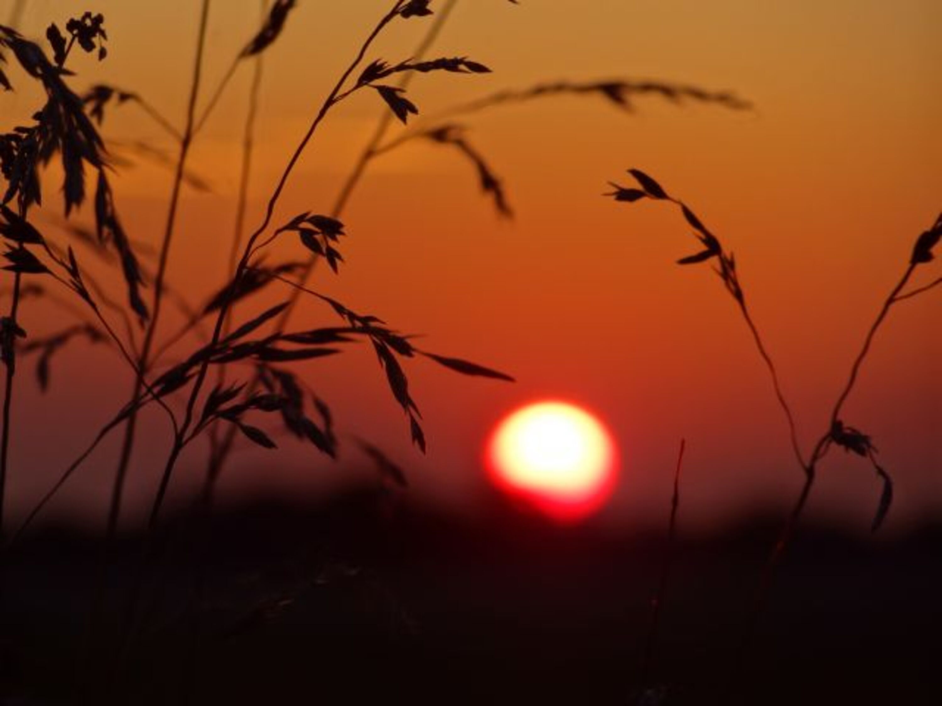 abendliche Impression