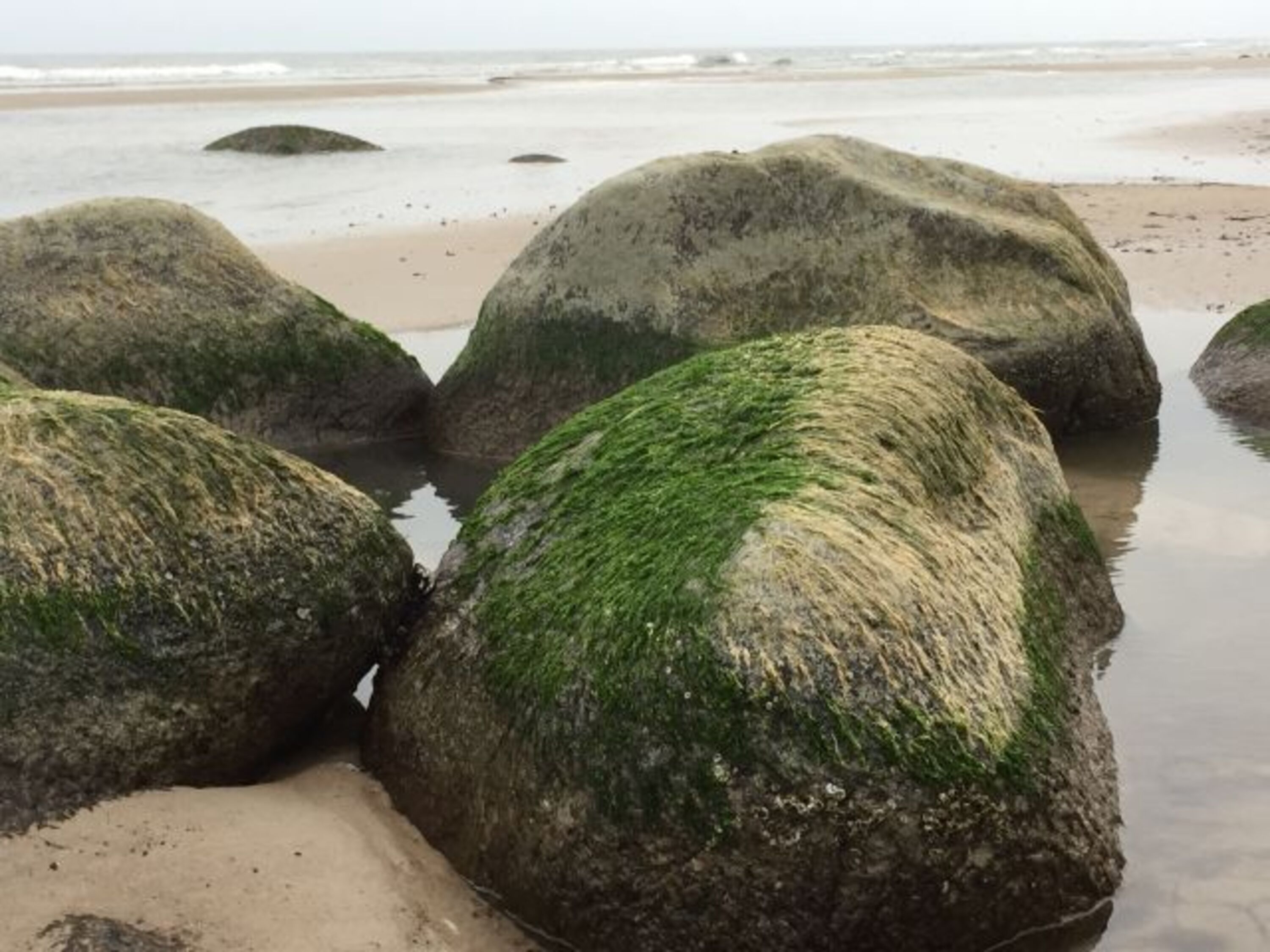Strandeindruck in der Nähe