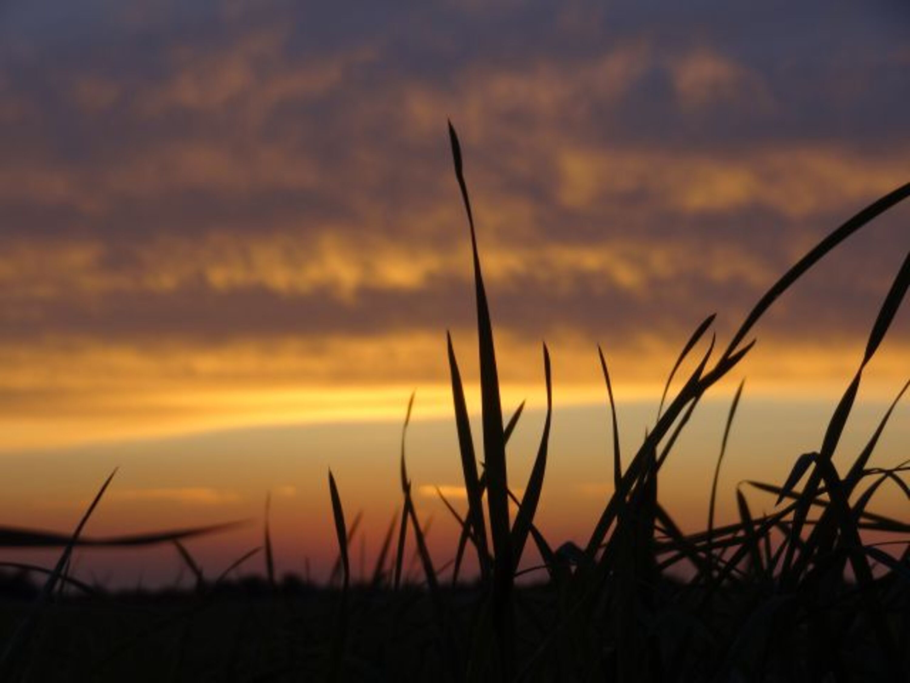 abendliche Impression