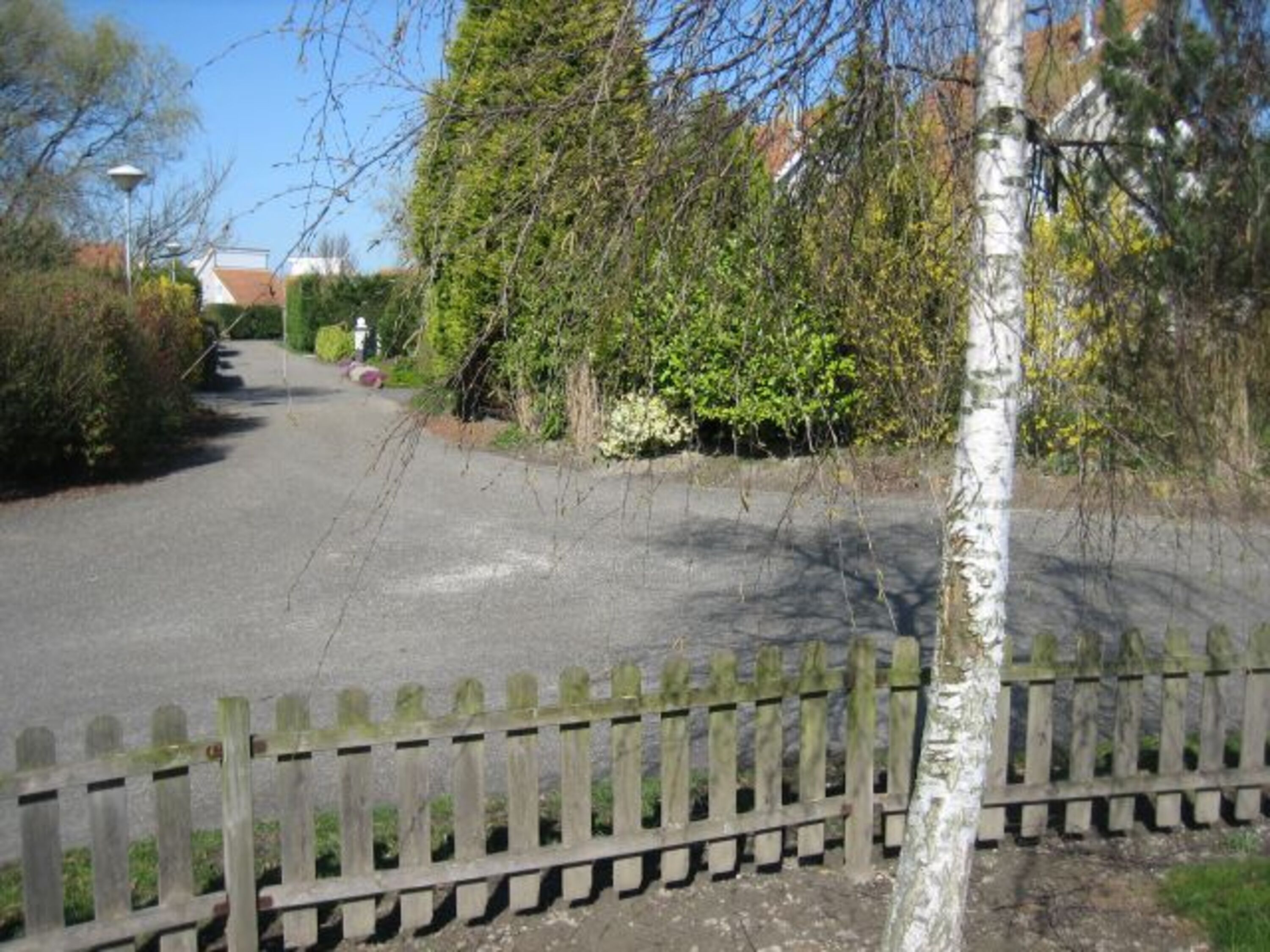 Strasse im Park