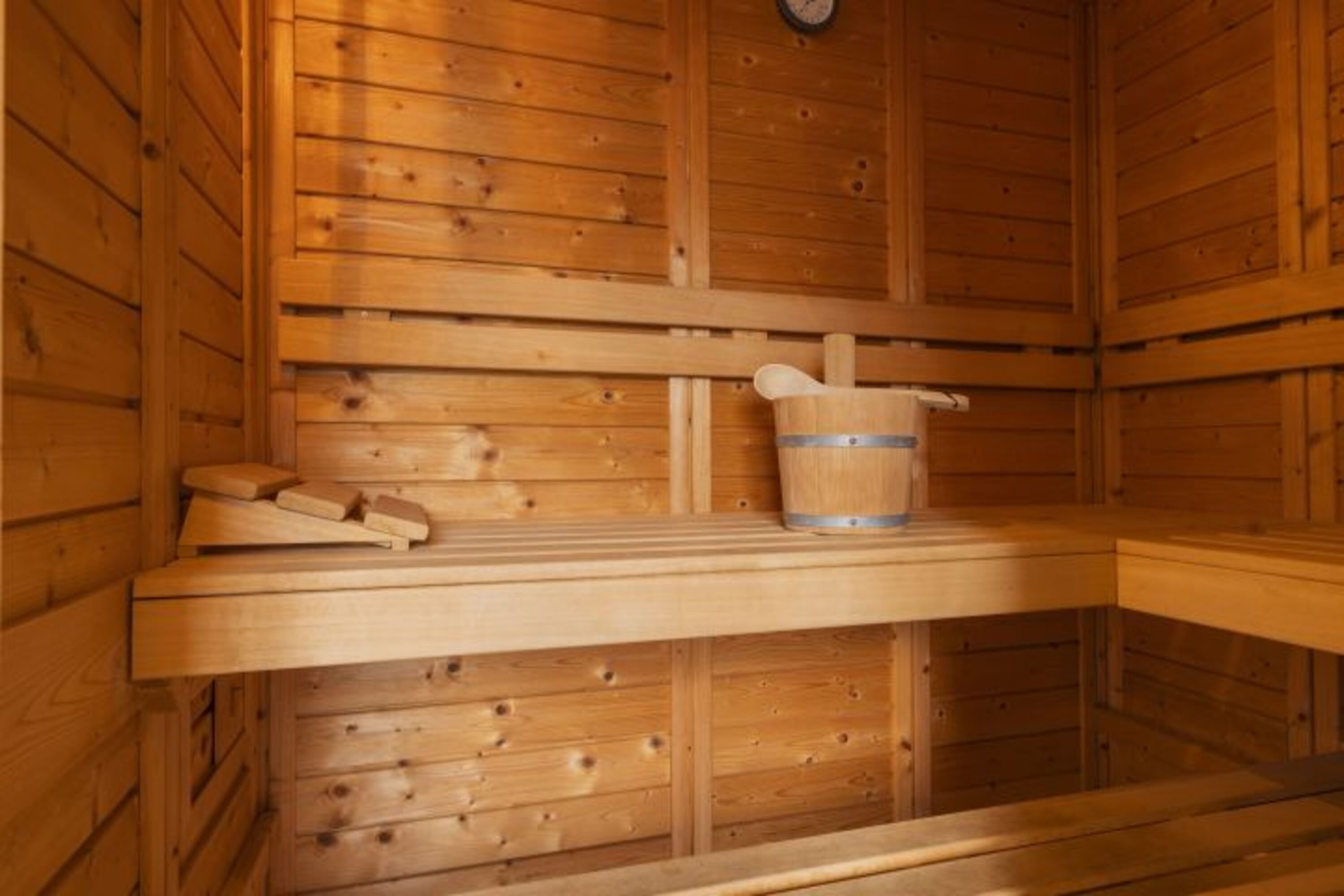 Reetdachhaus Schwalbe - Sauna