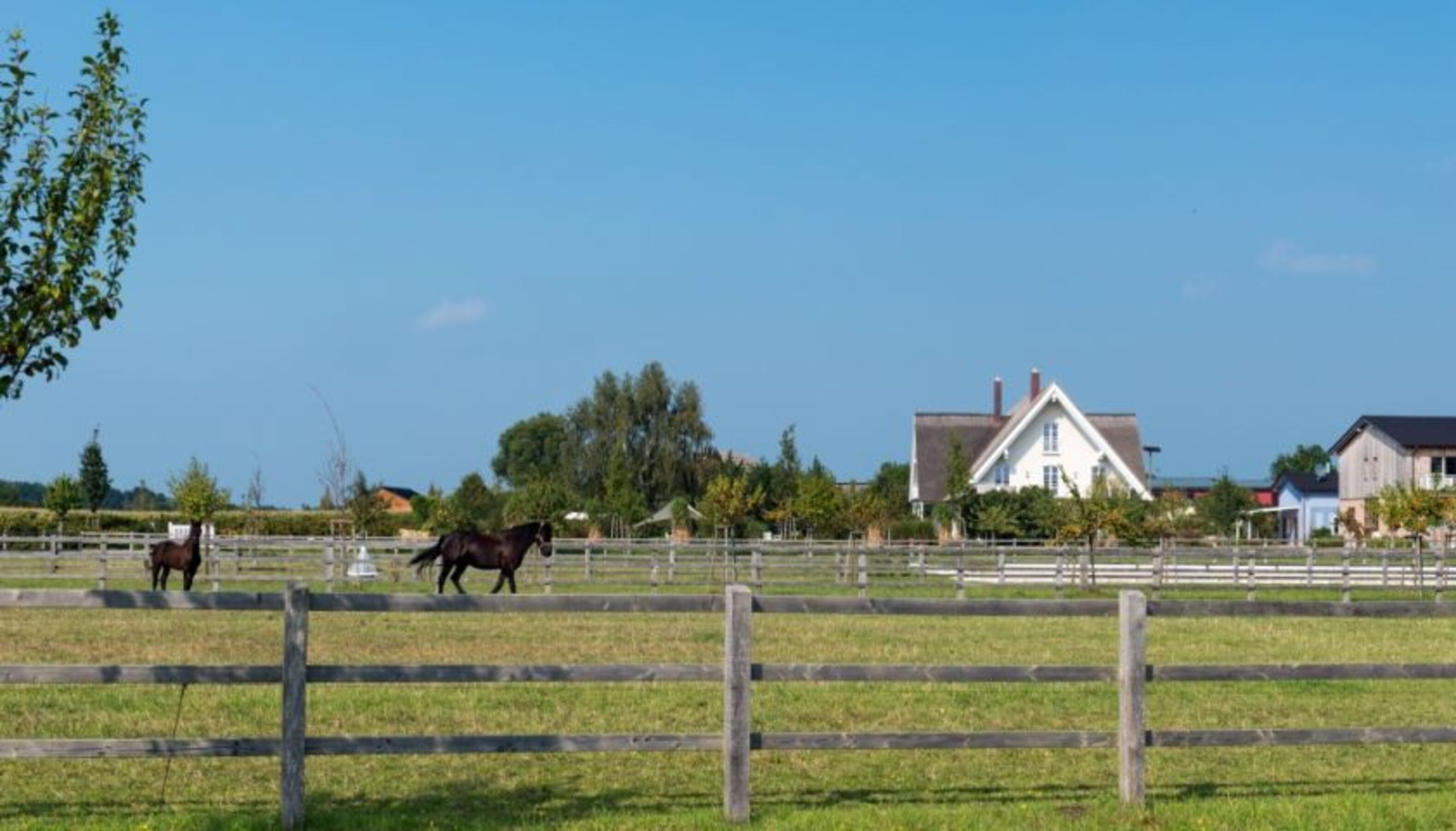 Apartmentanlage Lerchenhof in Reestow